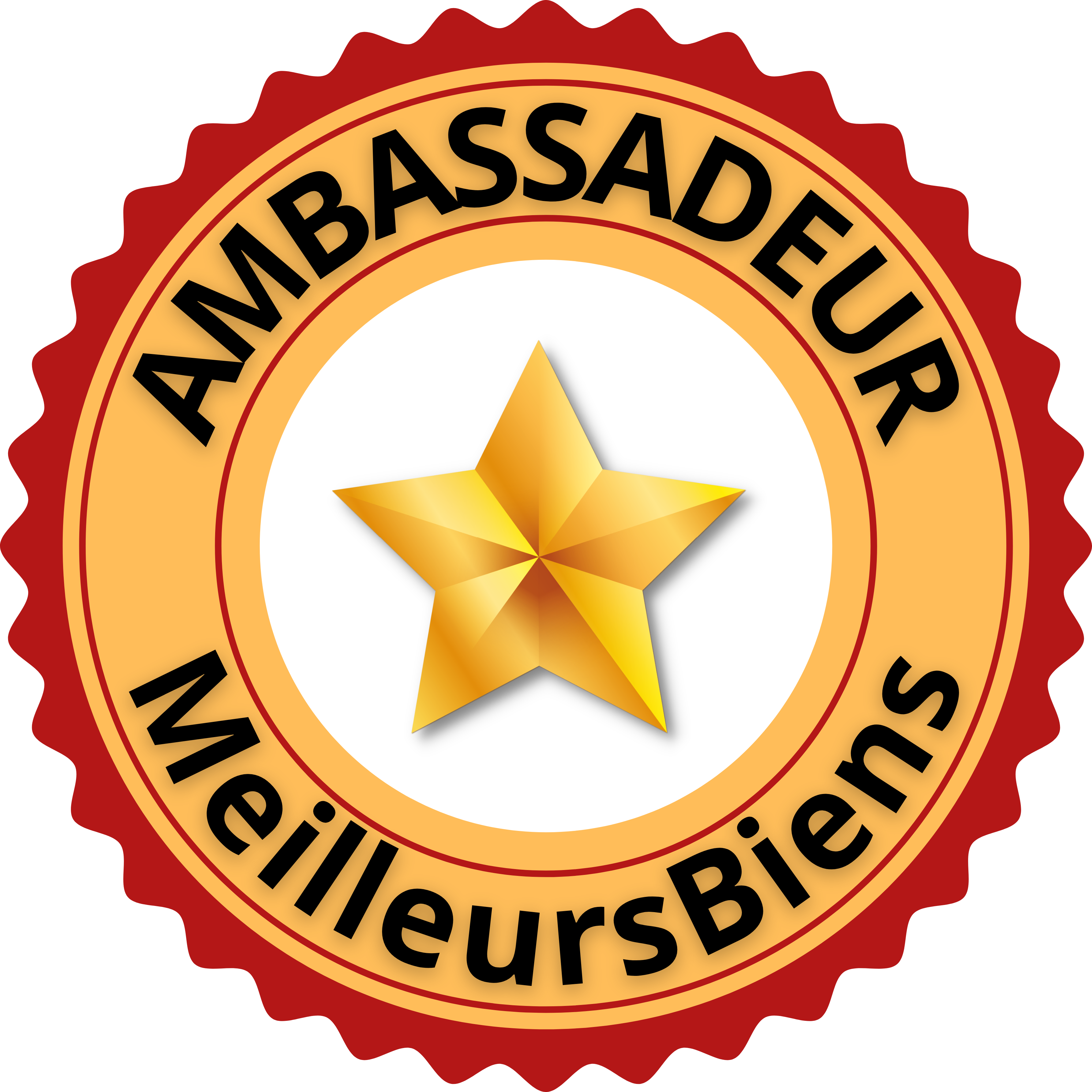 Badge Ambassadeur