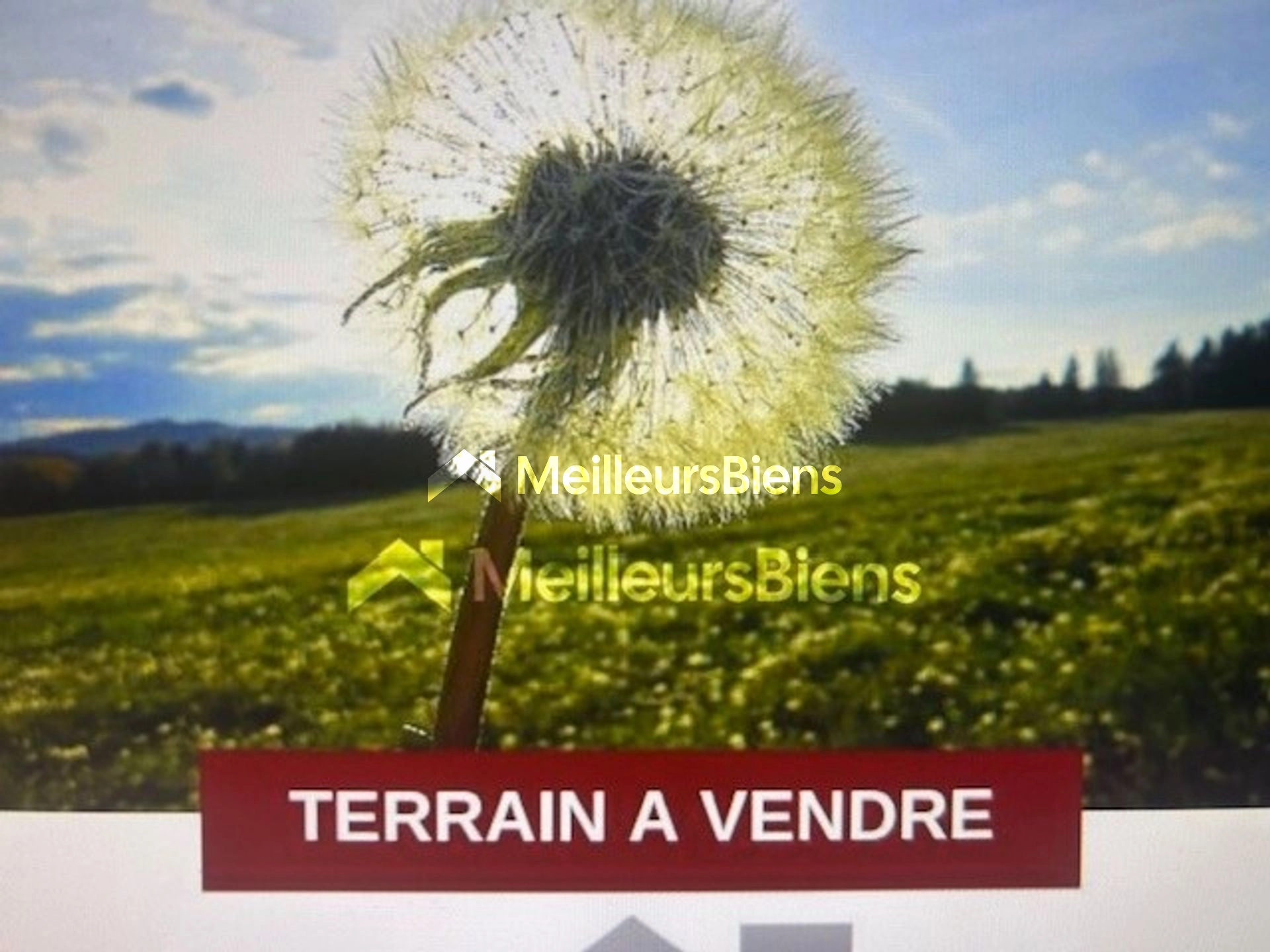 Terrain constructible Sainte-Eulalie-en-Born 793m2