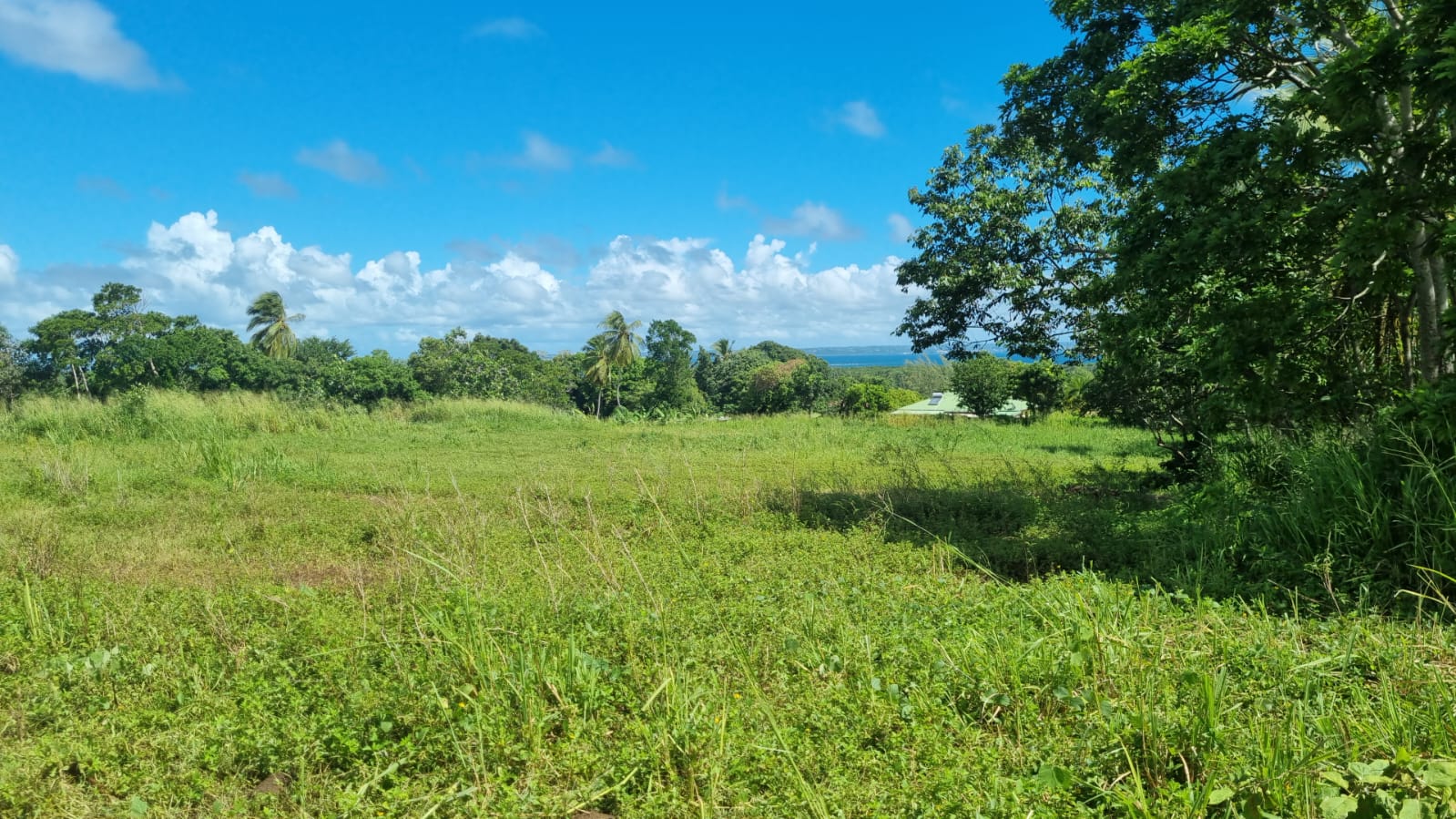 Terrain à bâtir de 2196 m2