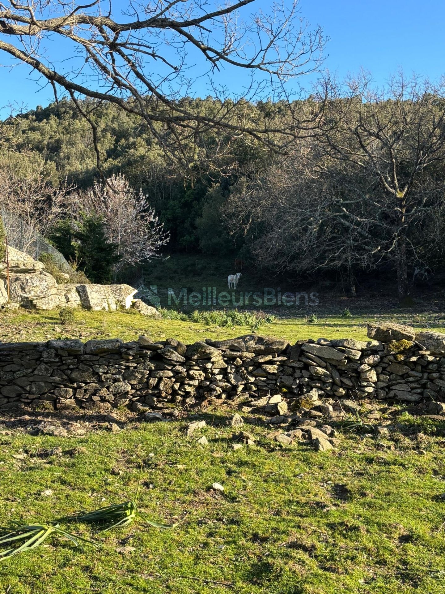 Magnifique terrain constructible avec une vue dégagée sur la plaine et la mer