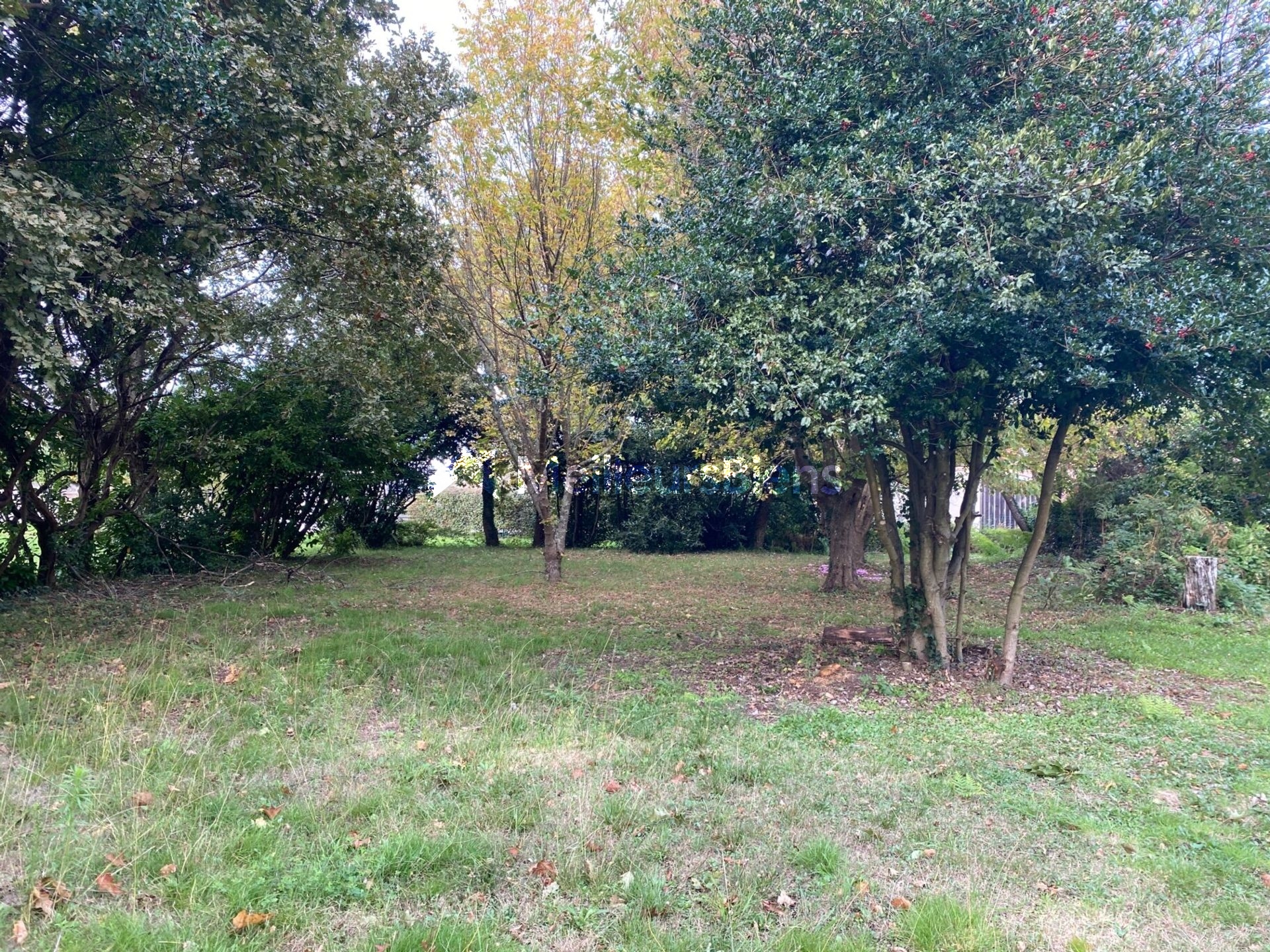 Maison avec 1800m2 de terrain