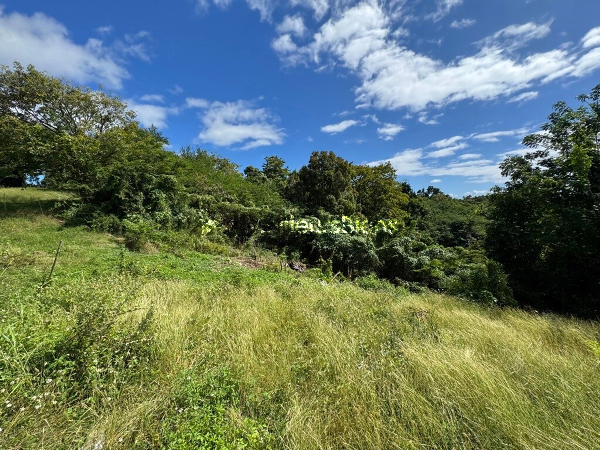 TERRAIN AU GOSIER
