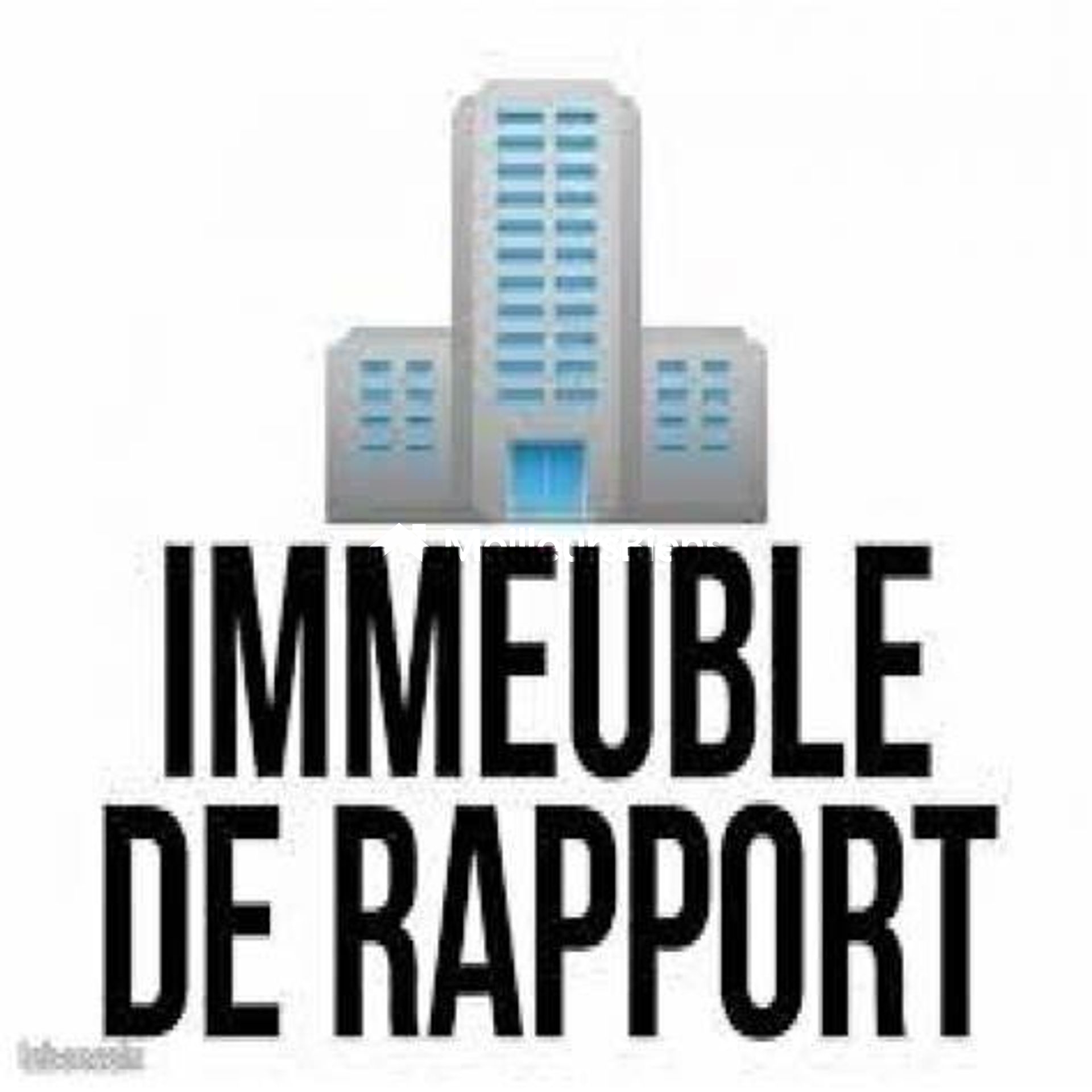 Immeuble de rapport exploité en rbnb