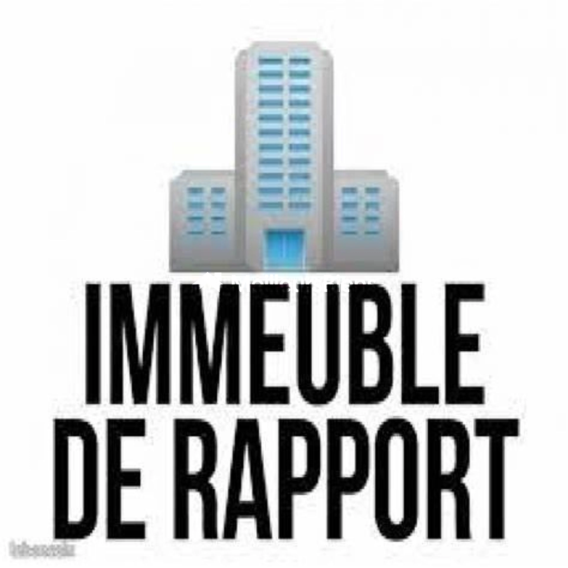 Immeuble de rapport exploité en rbnb