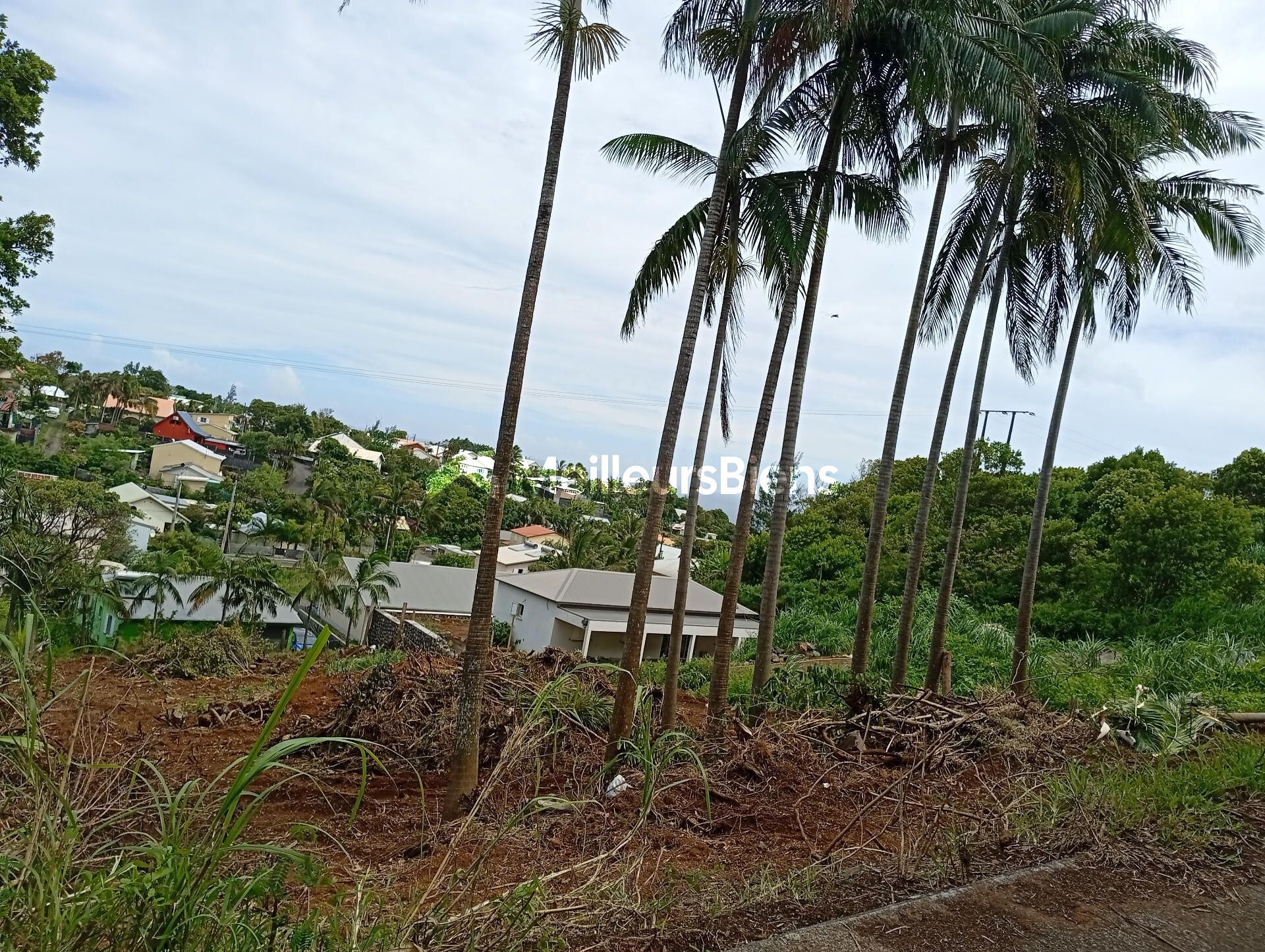 Terrain de 1362m2 dont 439m2 CONSTRUCTIBLE  en Zone U5/126 500€