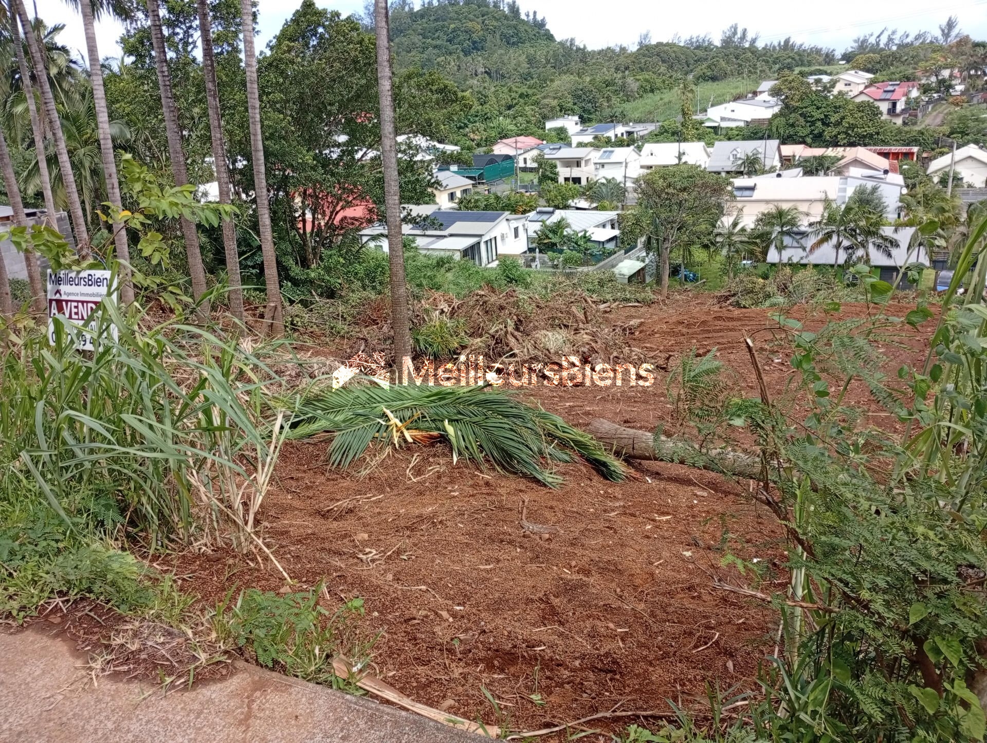 Terrain de 1362m2 dont 439m2 CONSTRUCTIBLE  en Zone U5/126 500€