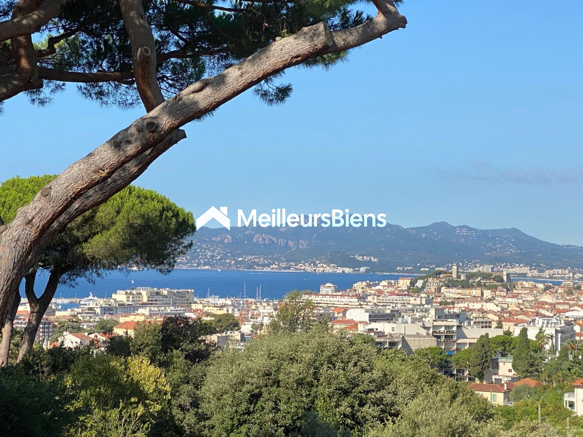Off Market/ Cannes Basse Californie : Maison dans domaine fermé , vue mer et Suquet féerique, piscine, terrasses et jardin