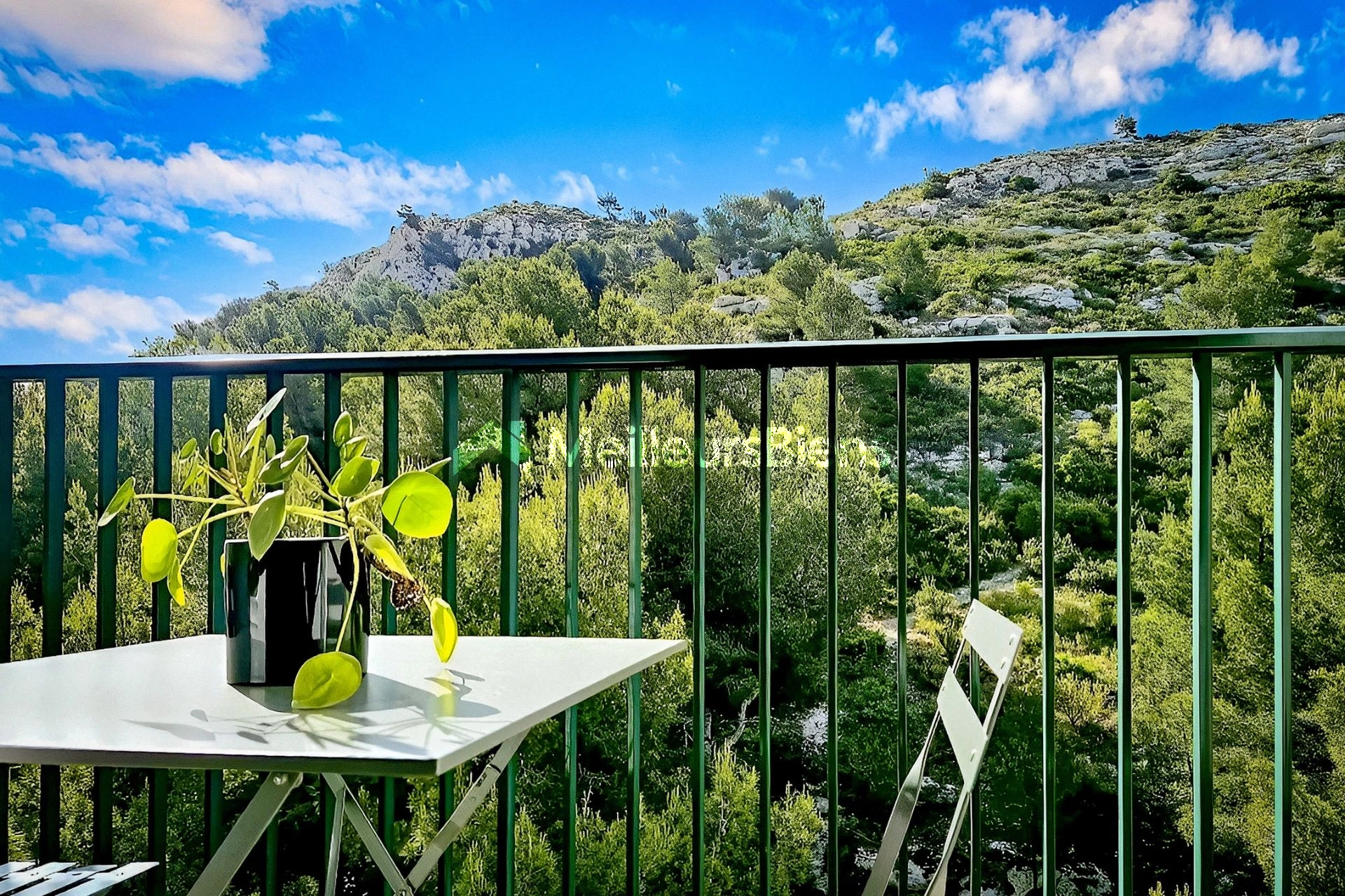 Bel appartement entre mer et colline