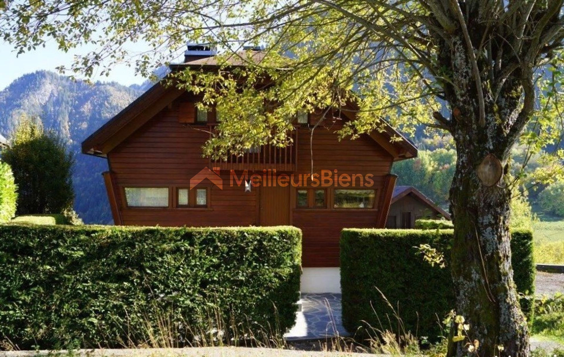 Chalet avec vue panoramic sur le Lac Leman et la Montagne