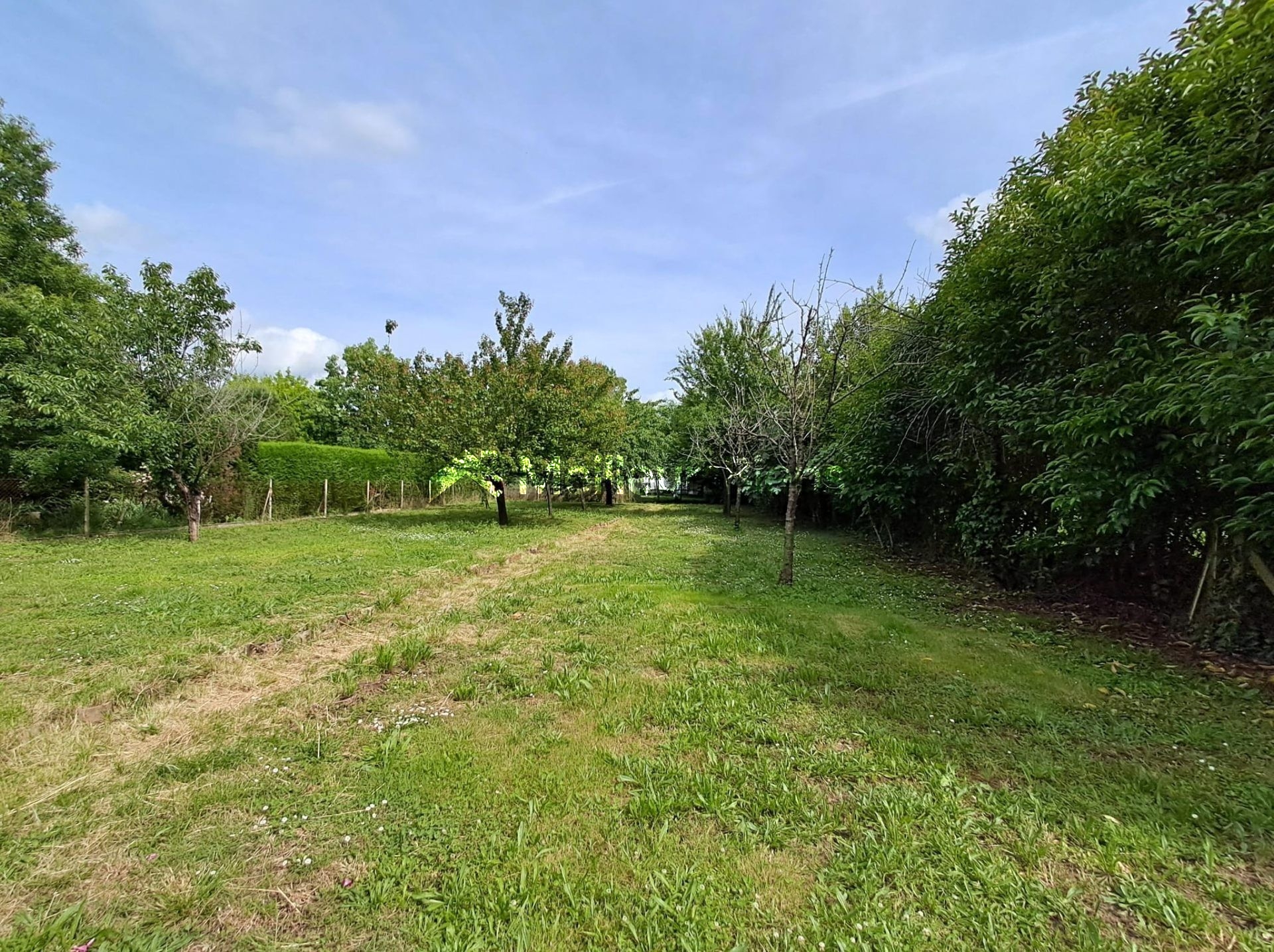 Opportunité- Grand terrain plat arboré viabilisé tout à l'égout - Pas de lotissement-