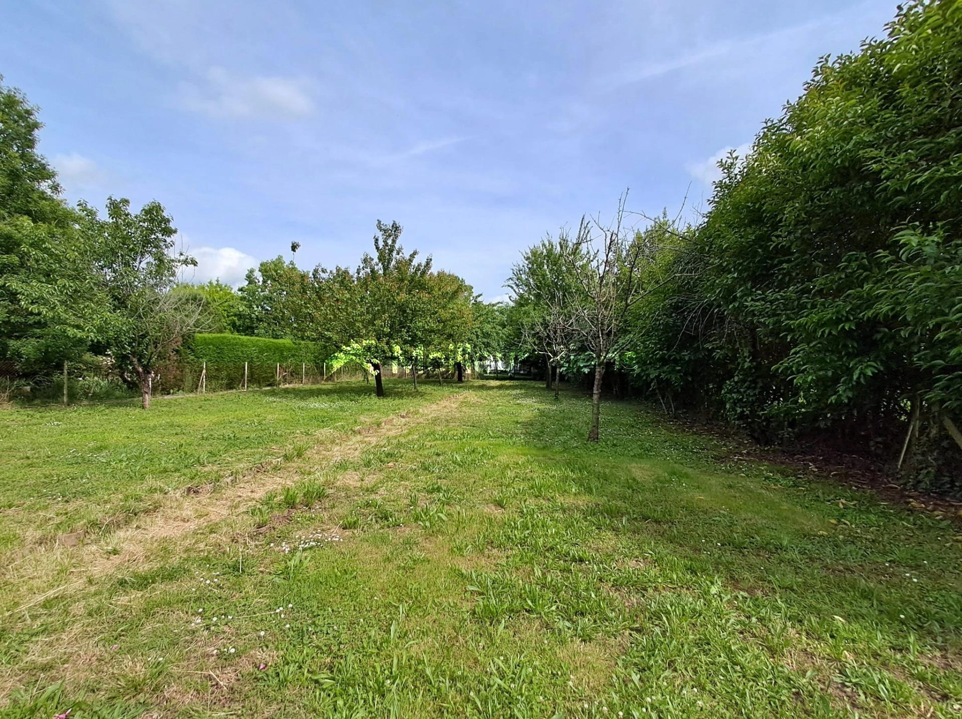 Opportunité- Grand terrain plat arboré viabilisé tout à l'égout - Pas de lotissement-