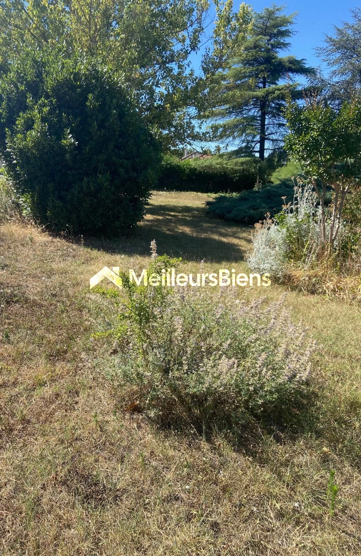Emplacement d'exception