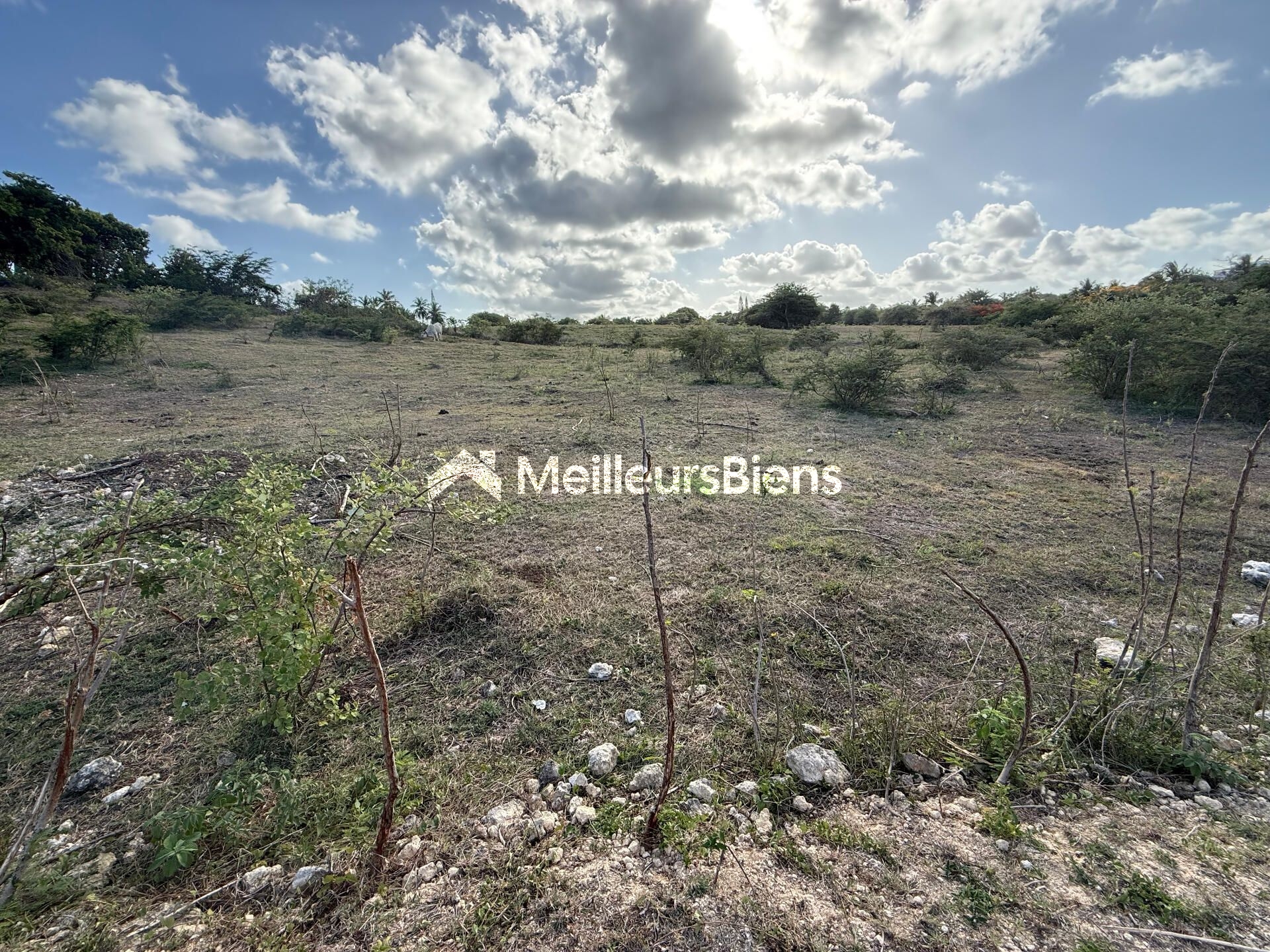 Terrain de 950M2 à vendre à Saint-François