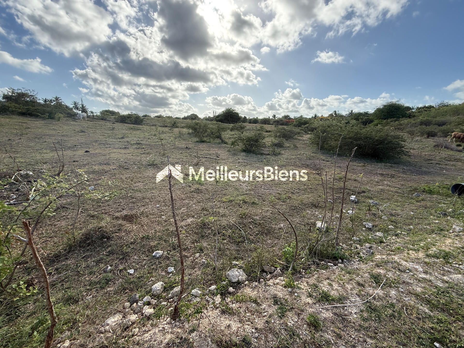 Terrain de 950M2 à vendre à Saint-François