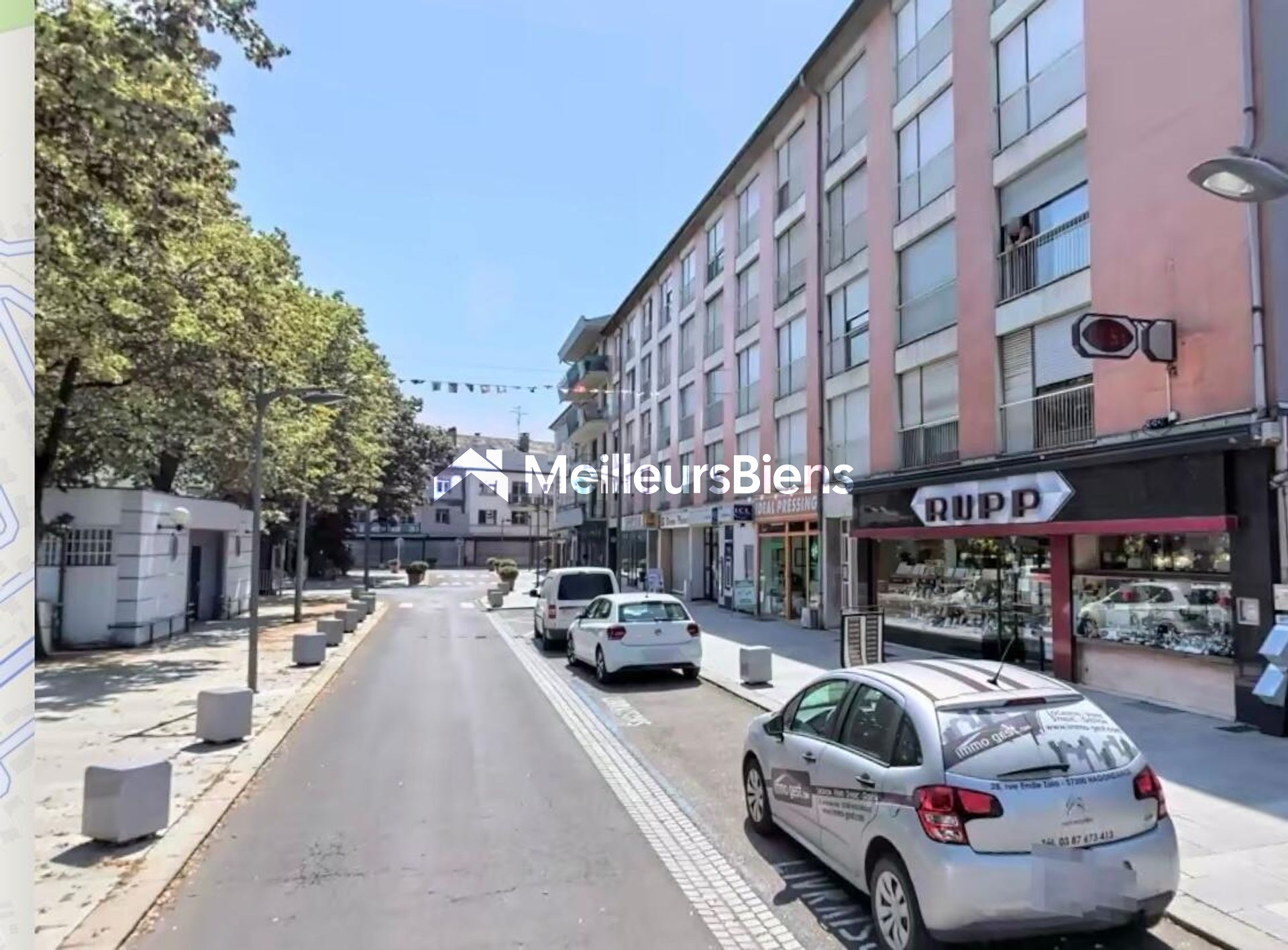 Local professionnel avec dépôt