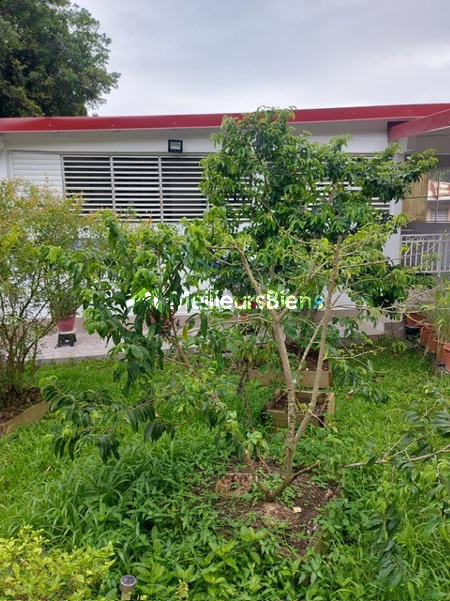 A LOUER dans secteur calme à la campagne , commune des Abymes, Appartement T2 de 60 m² meublé et équipée.