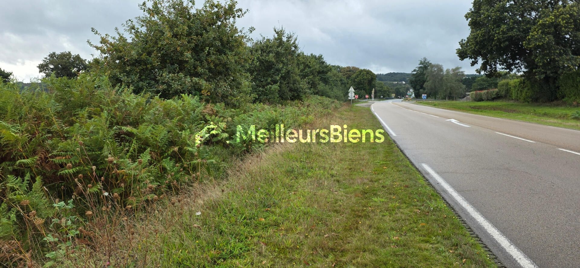Grand terrain constructible