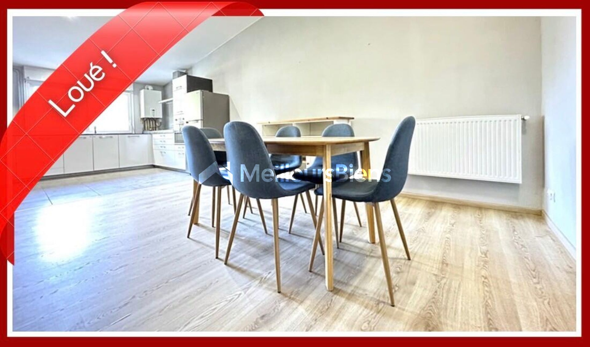 Appartement 2 chambre, grand séjour, garage fermé dans cours privative