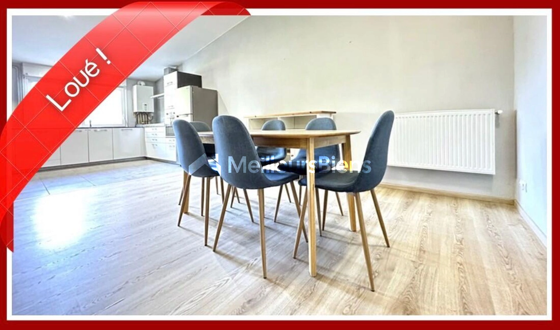 Appartement 2 chambre, grand séjour, garage fermé dans cours privative