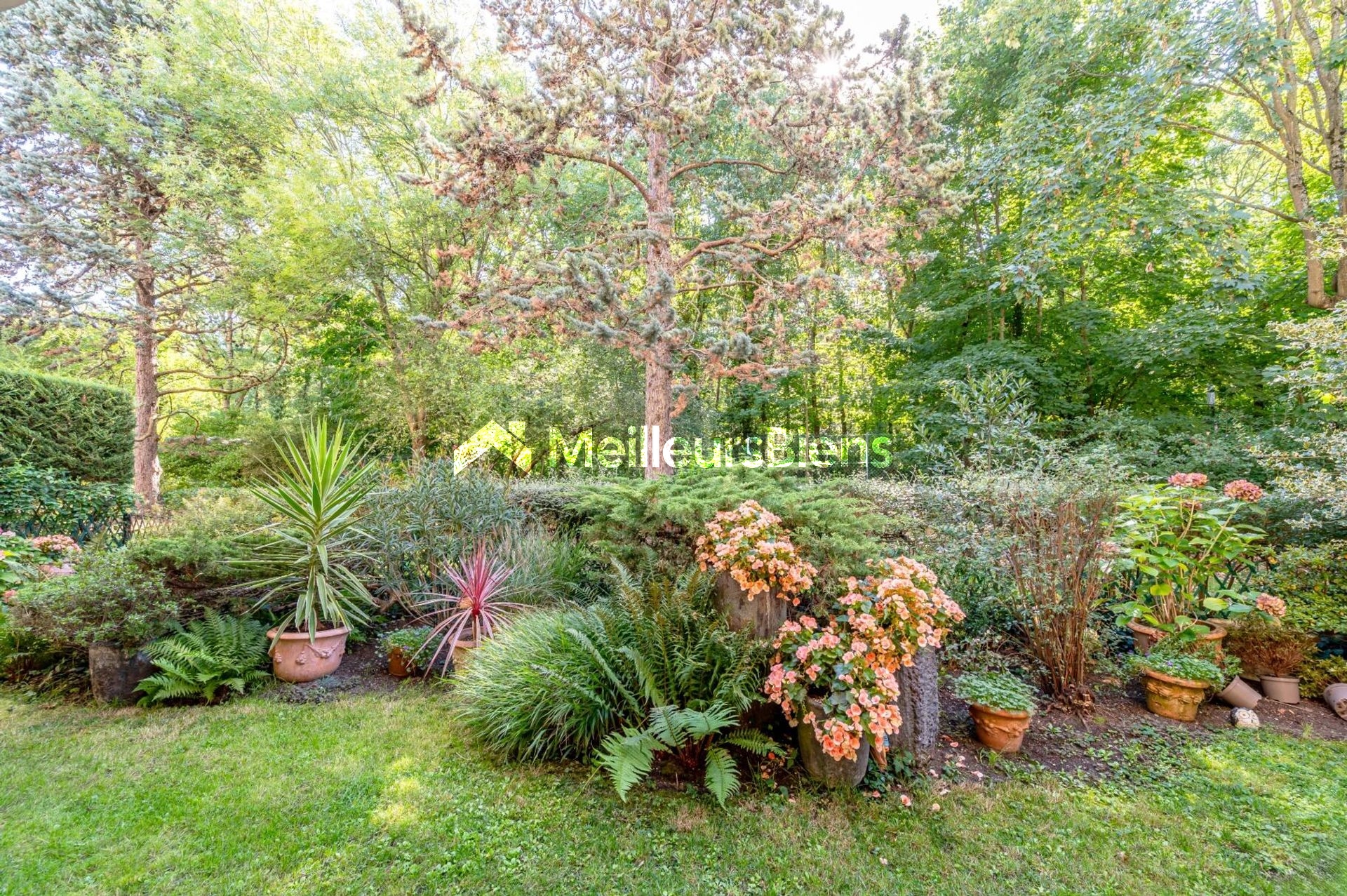 MEUDON BELLEVUE Appartement avec joli jardin sud et 3 chambres, 3 salles de bains.
