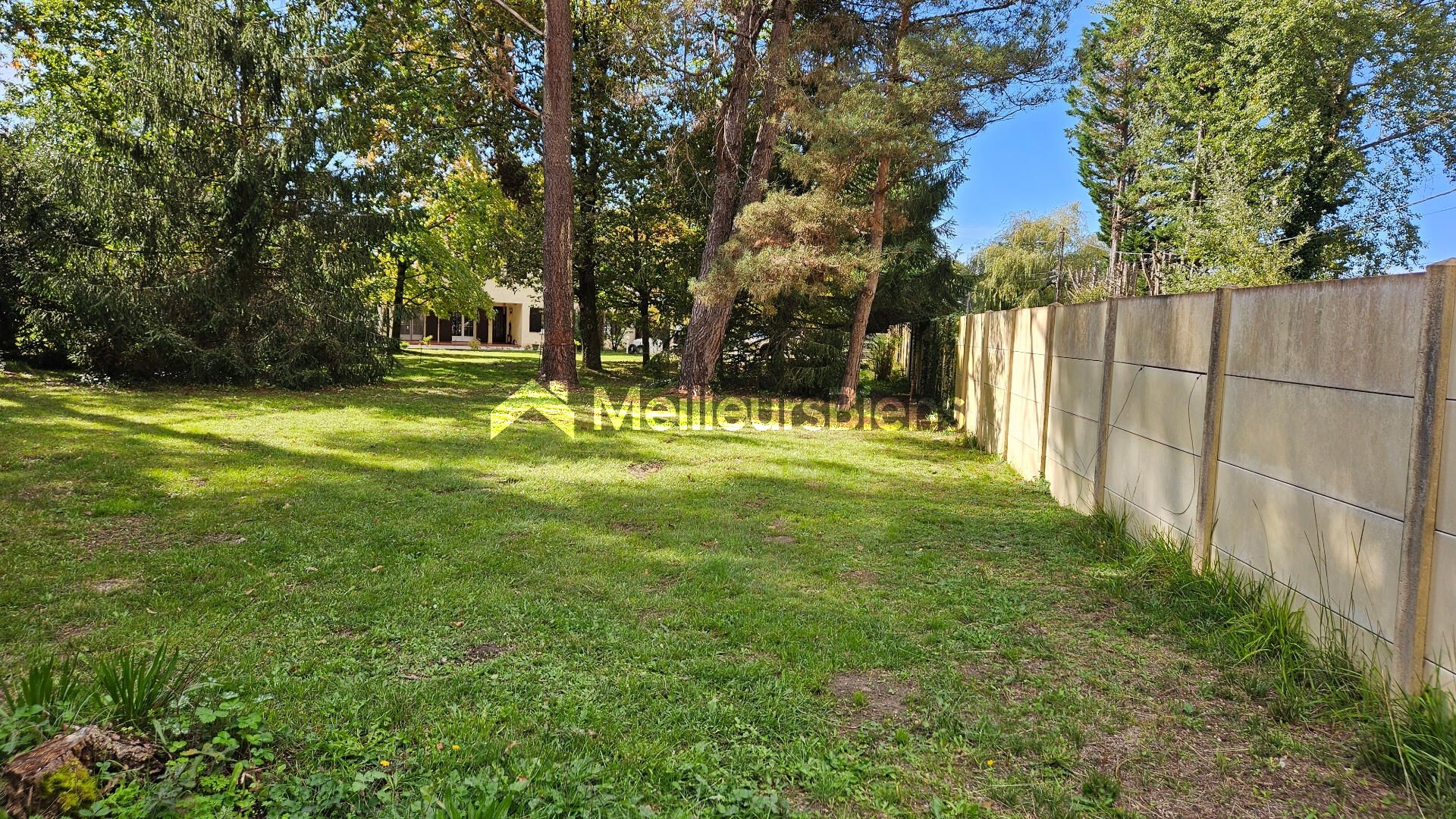 TRÉS BEAU TERRAIN À BÂTIR - CALME - OMBRAGÉ & ARBORÉ - 2.000 M² ENVIRON