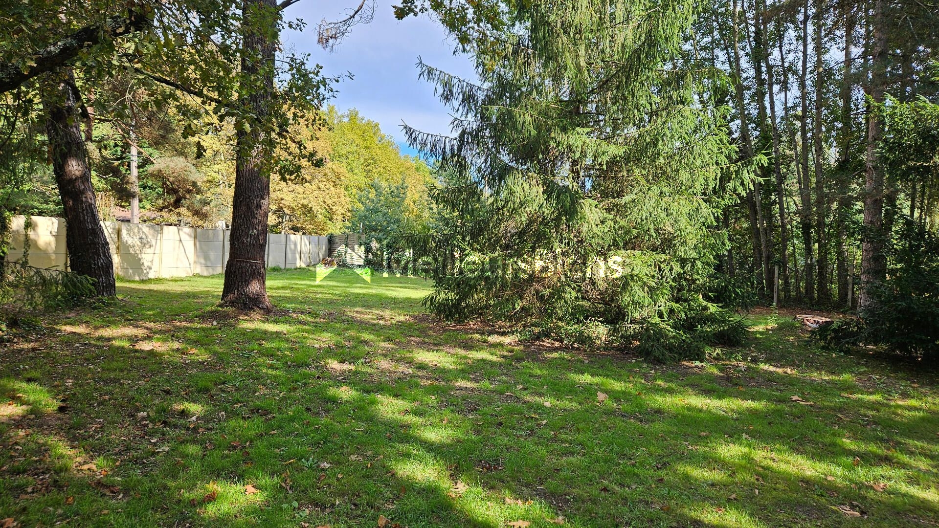 TRÉS BEAU TERRAIN À BÂTIR - CALME - OMBRAGÉ & ARBORÉ - 2.000 M² ENVIRON