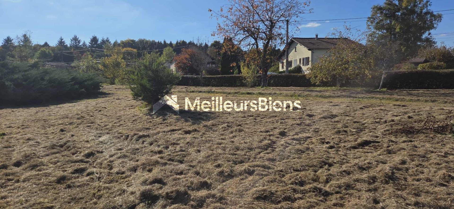Terrain à bâtir