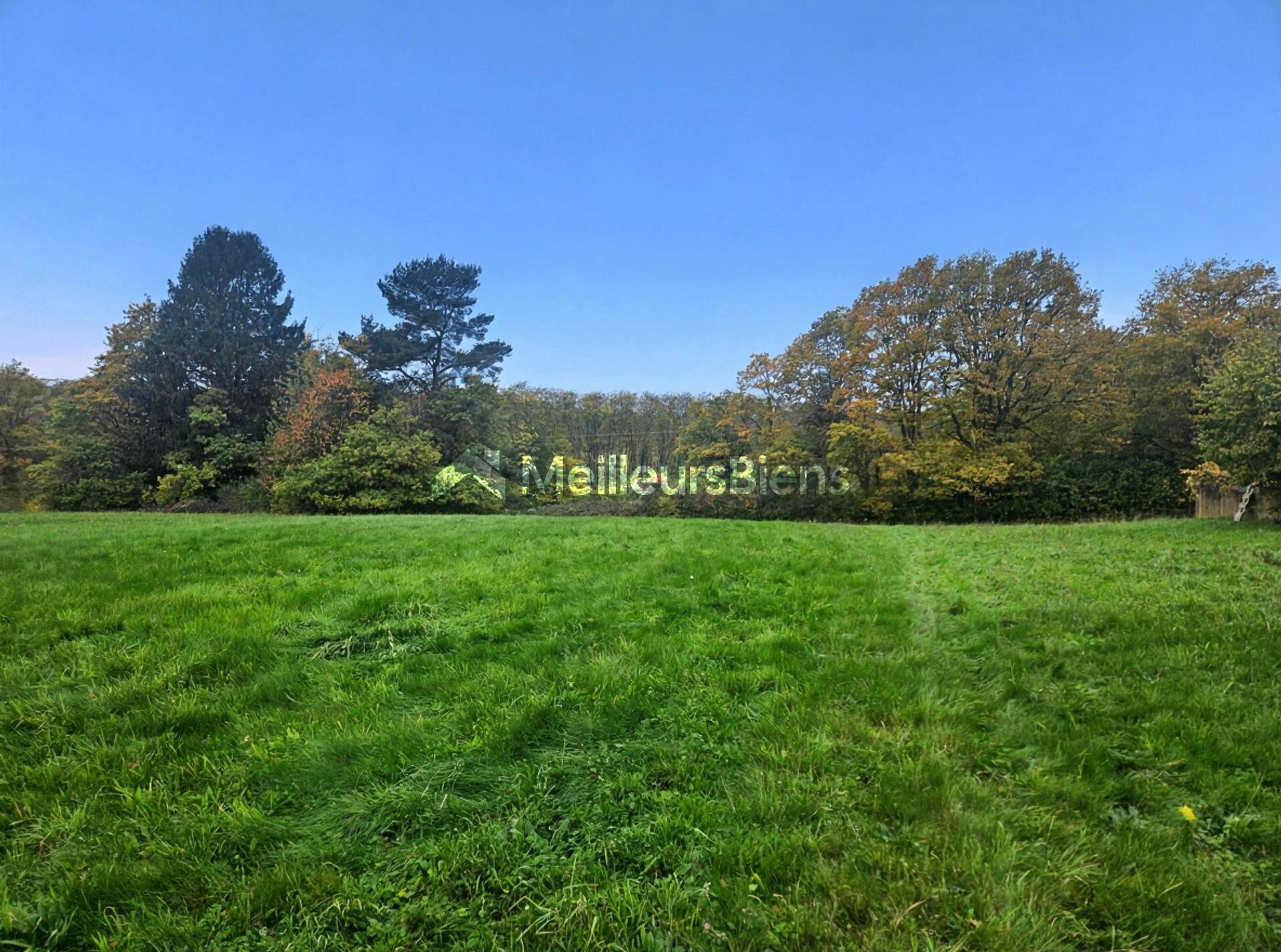 Superbe terrain de 4845 m² à Châlonvillars- 24 ares constructibles viabilisés , cadre verdoyant avec vue sur les Vosges