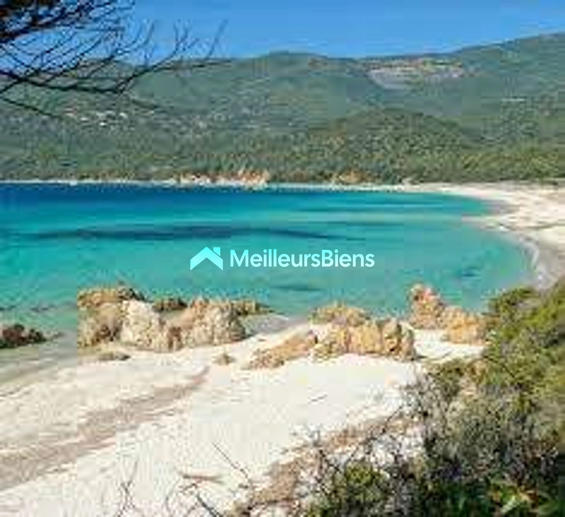Propriété pieds dans l'eau