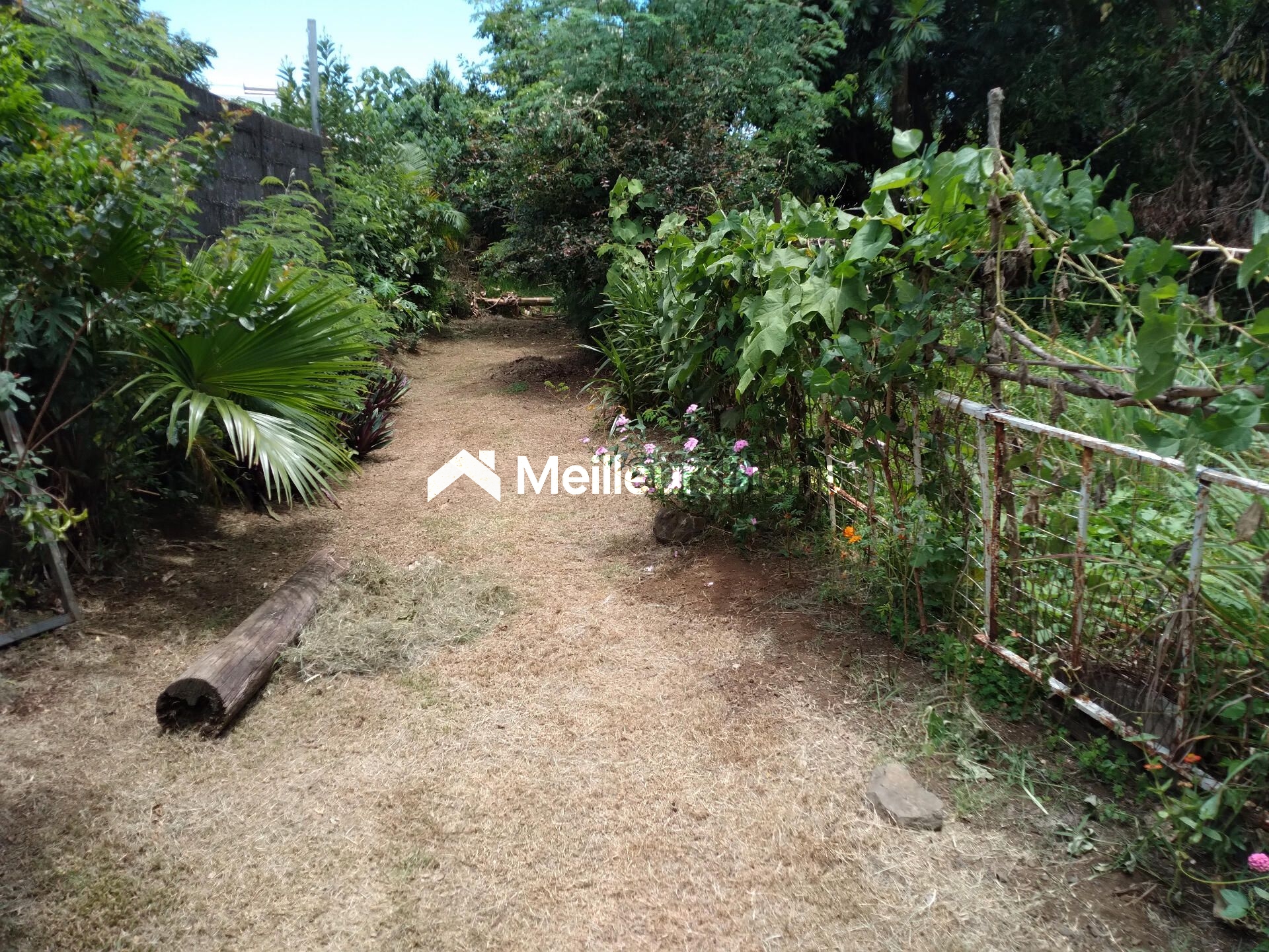 Terrain plat constructible (zone Uc) de 5300 m² à Ste Marie (Bois rouge)