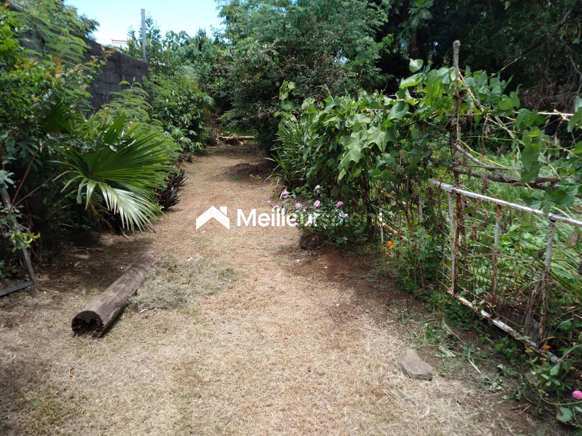 Terrain plat constructible (zone Uc) de 5300 m² à Ste Marie (Bois rouge)