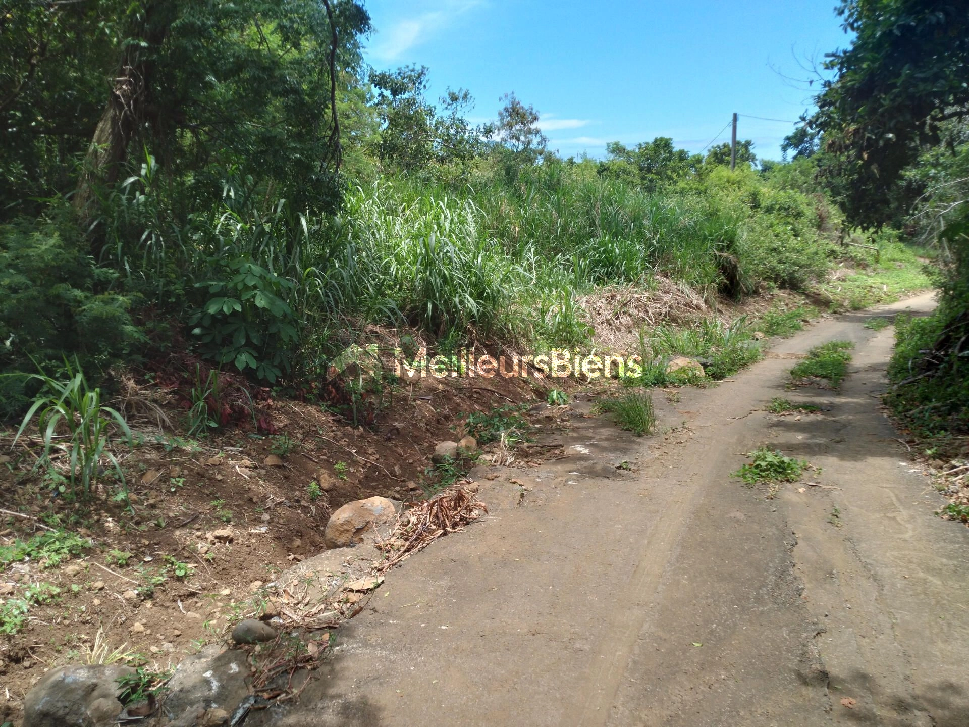 Terrain de 815 m² dont environ 300 m² constructible, Cos 0,60