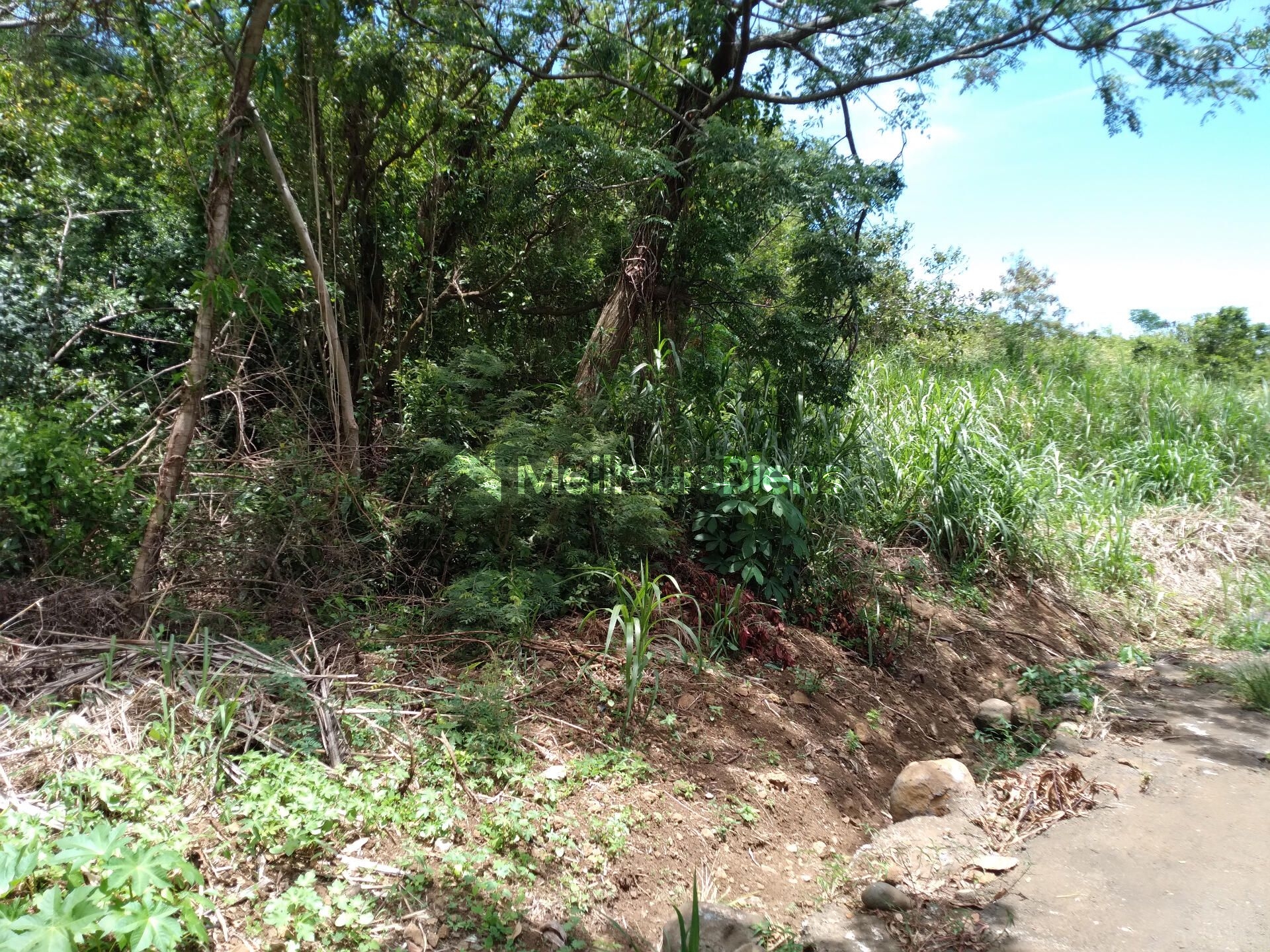 Terrain de 815 m² dont environ 300 m² constructible, Cos 0,60