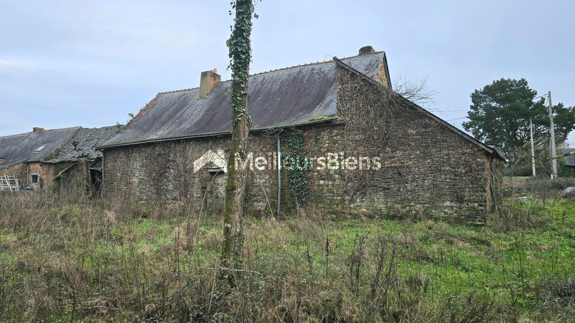 Ensemble immobilier de trois maisons