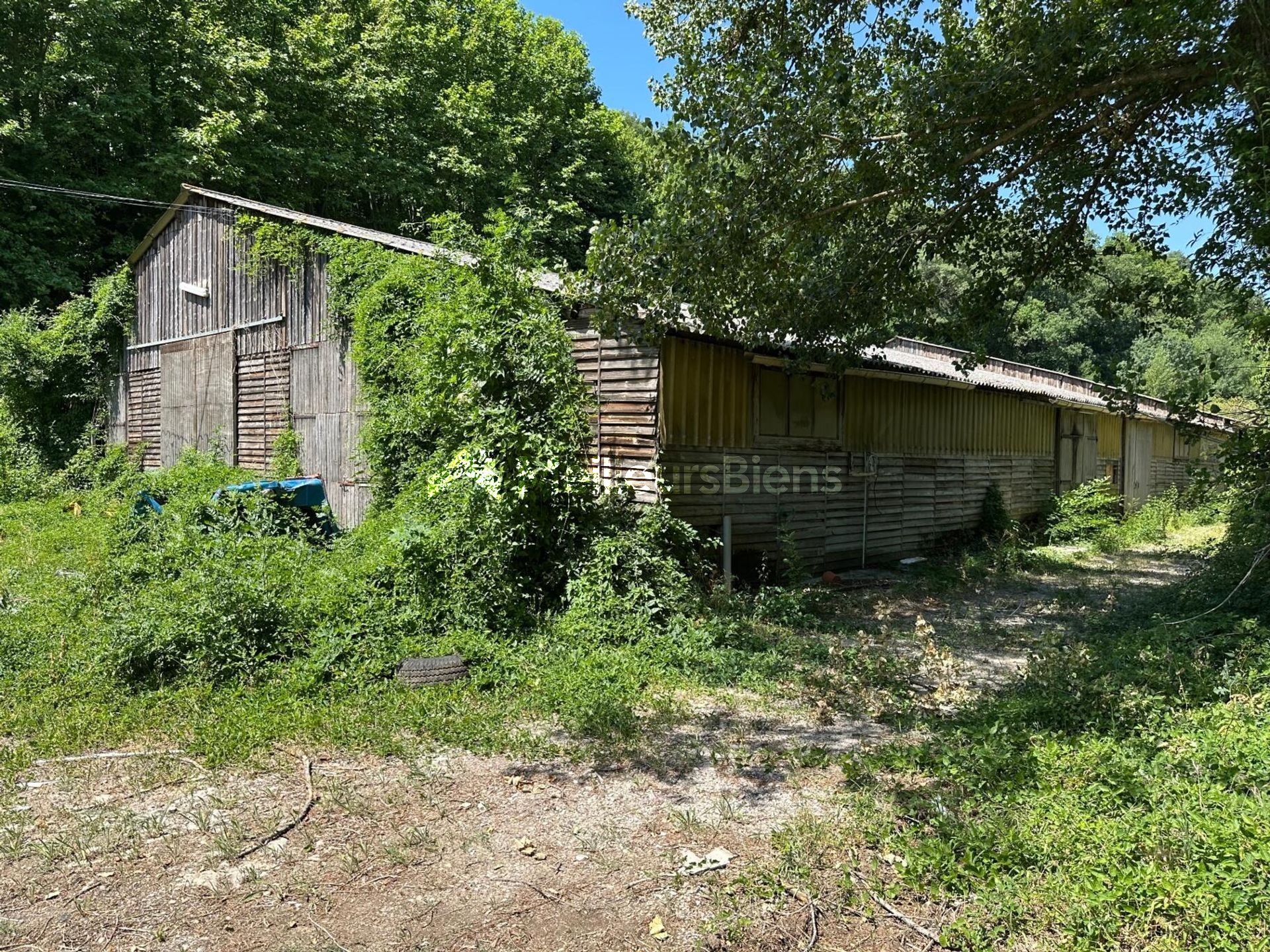 Propriété agricole avec terrain de 4 hectares