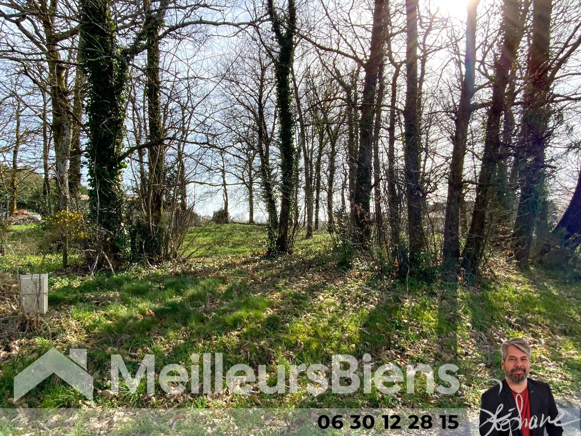 Terrain proche Montendre 2100m² arboré.