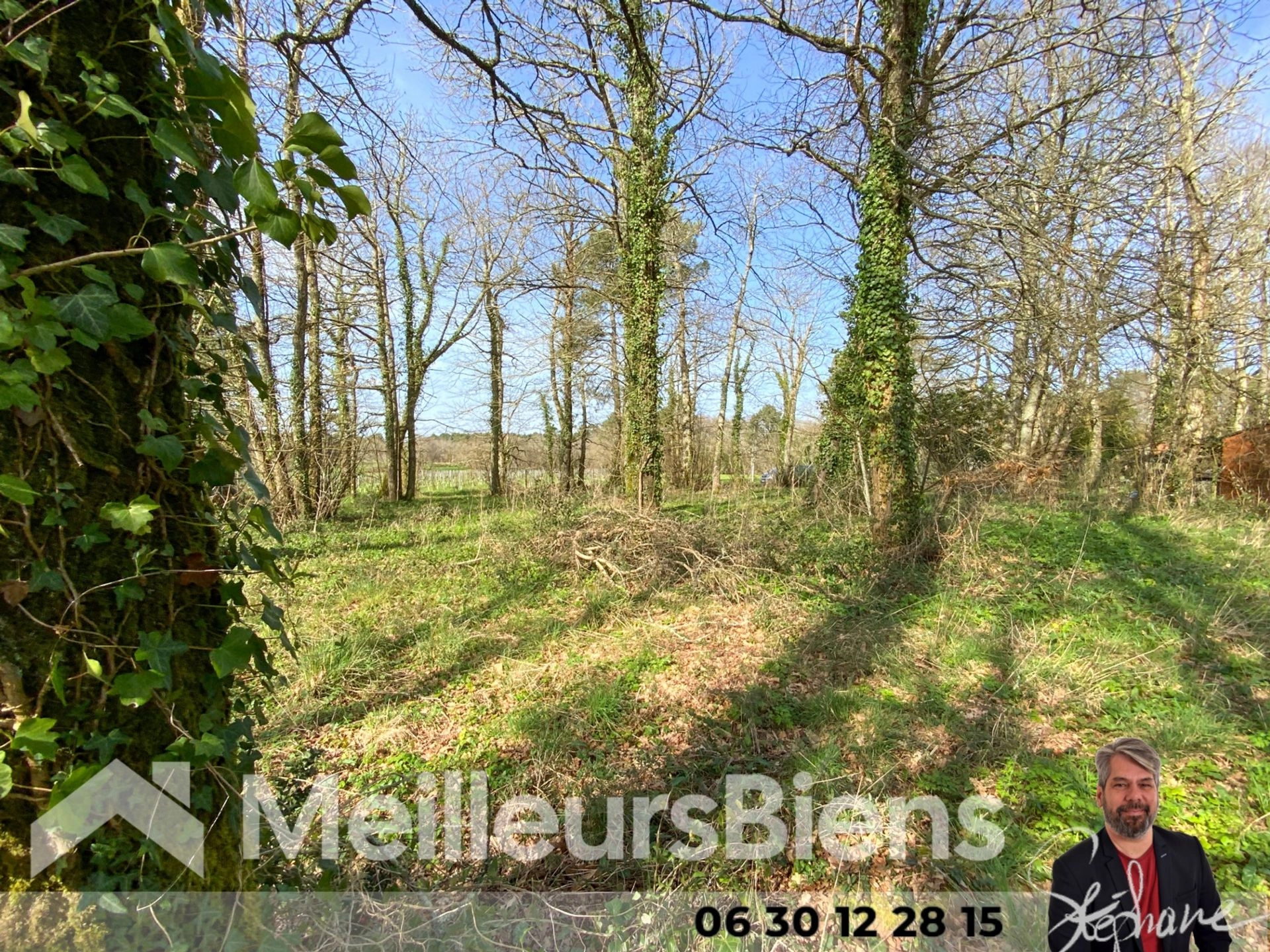 Terrain proche Montendre 2100m² arboré.