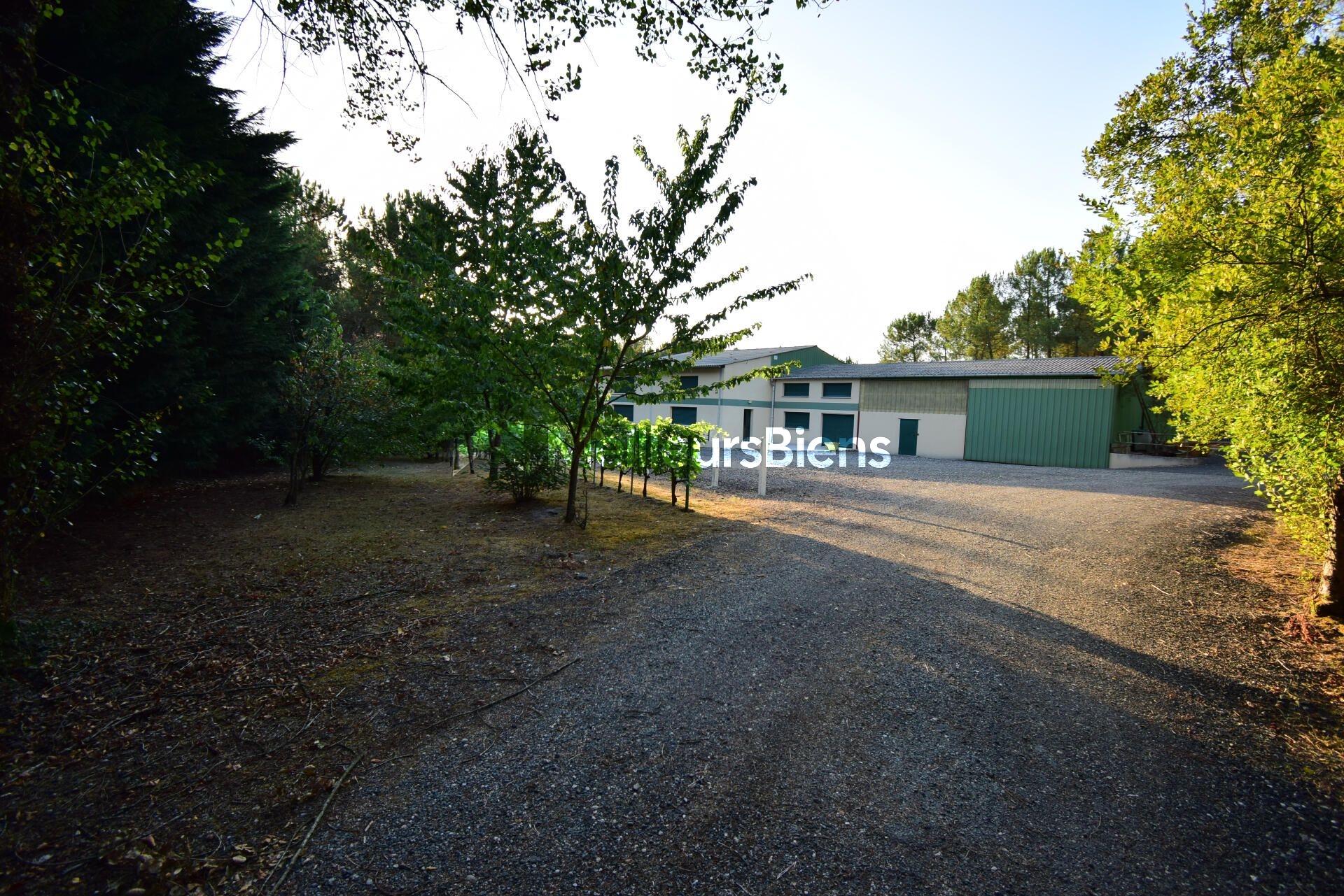 Domaine de chasse de 600m² avec salle de réception de 218m²