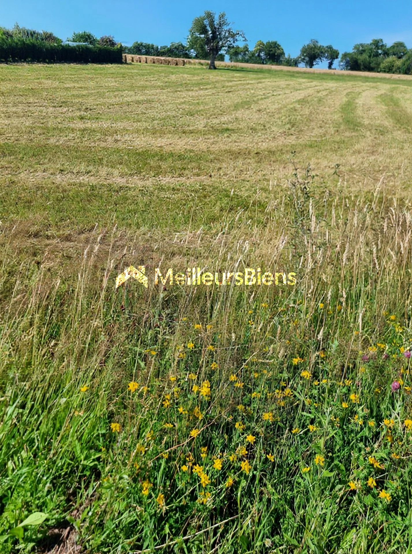 Terrain constructible 2239m2