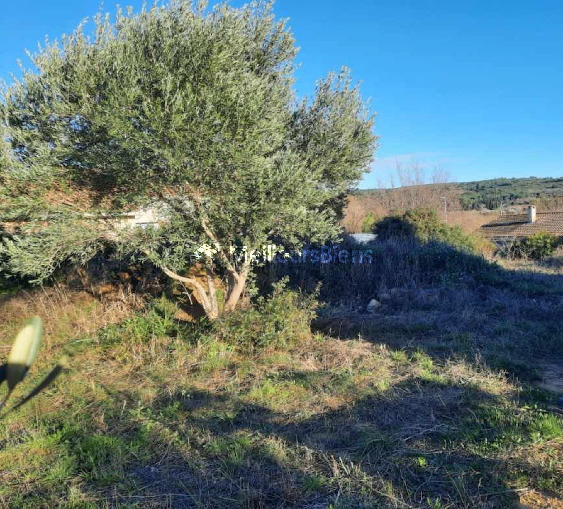 Terrain constructible 268 m² à Villeveyrac, libre de constructeur