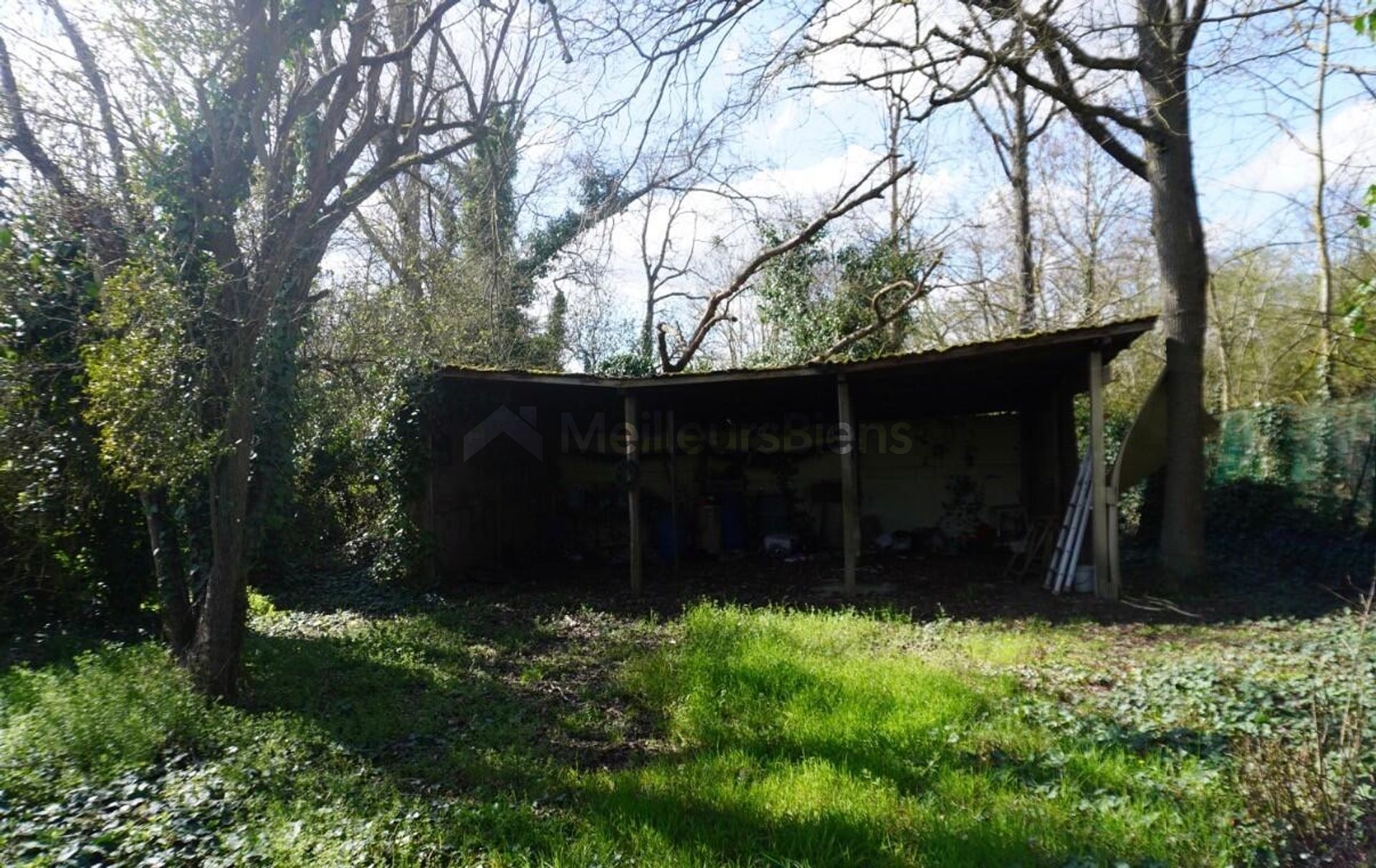 Terrain Verdoyant de 1268m²