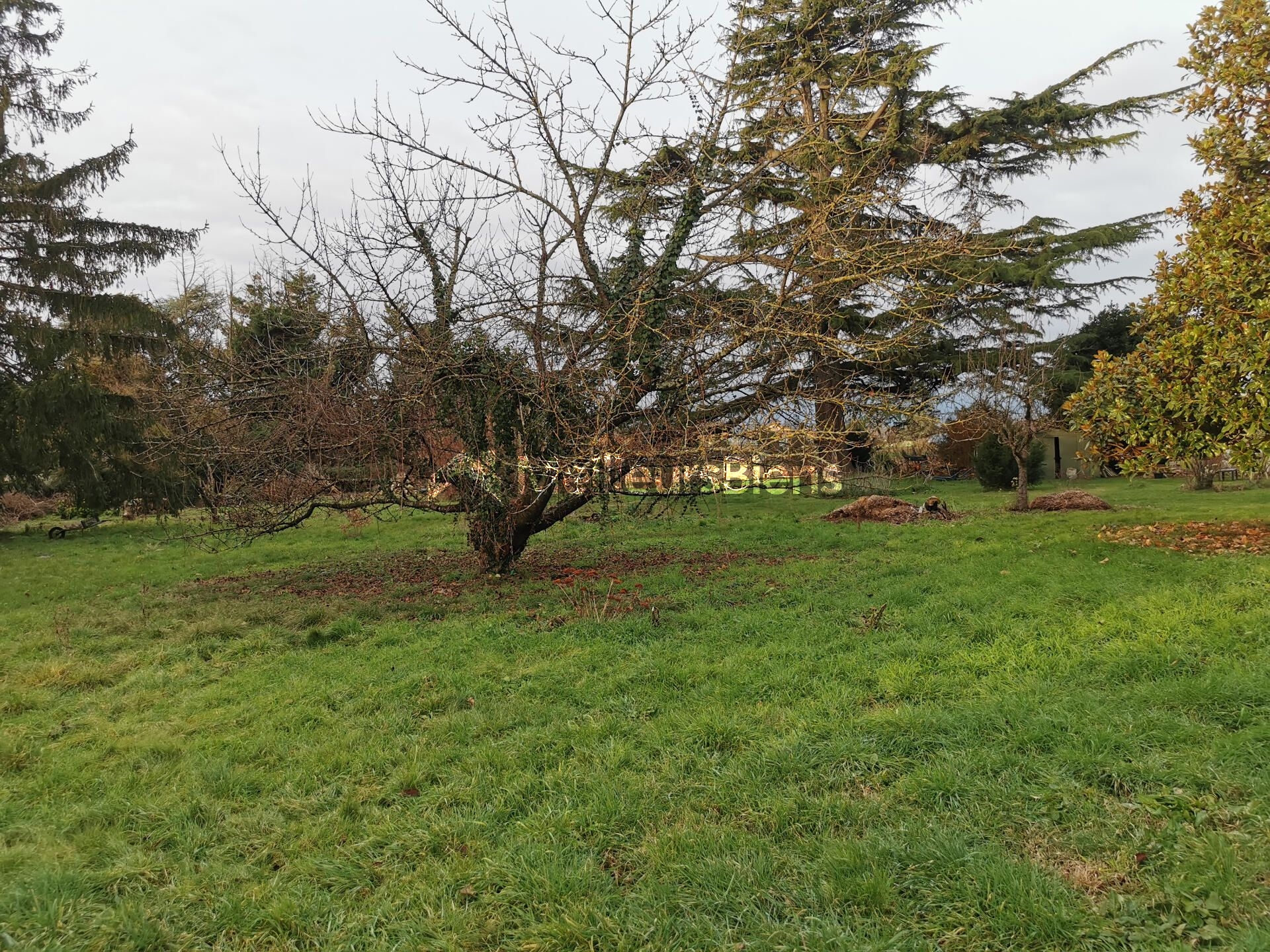 Magnifique terrain à bâtir 1900 m²