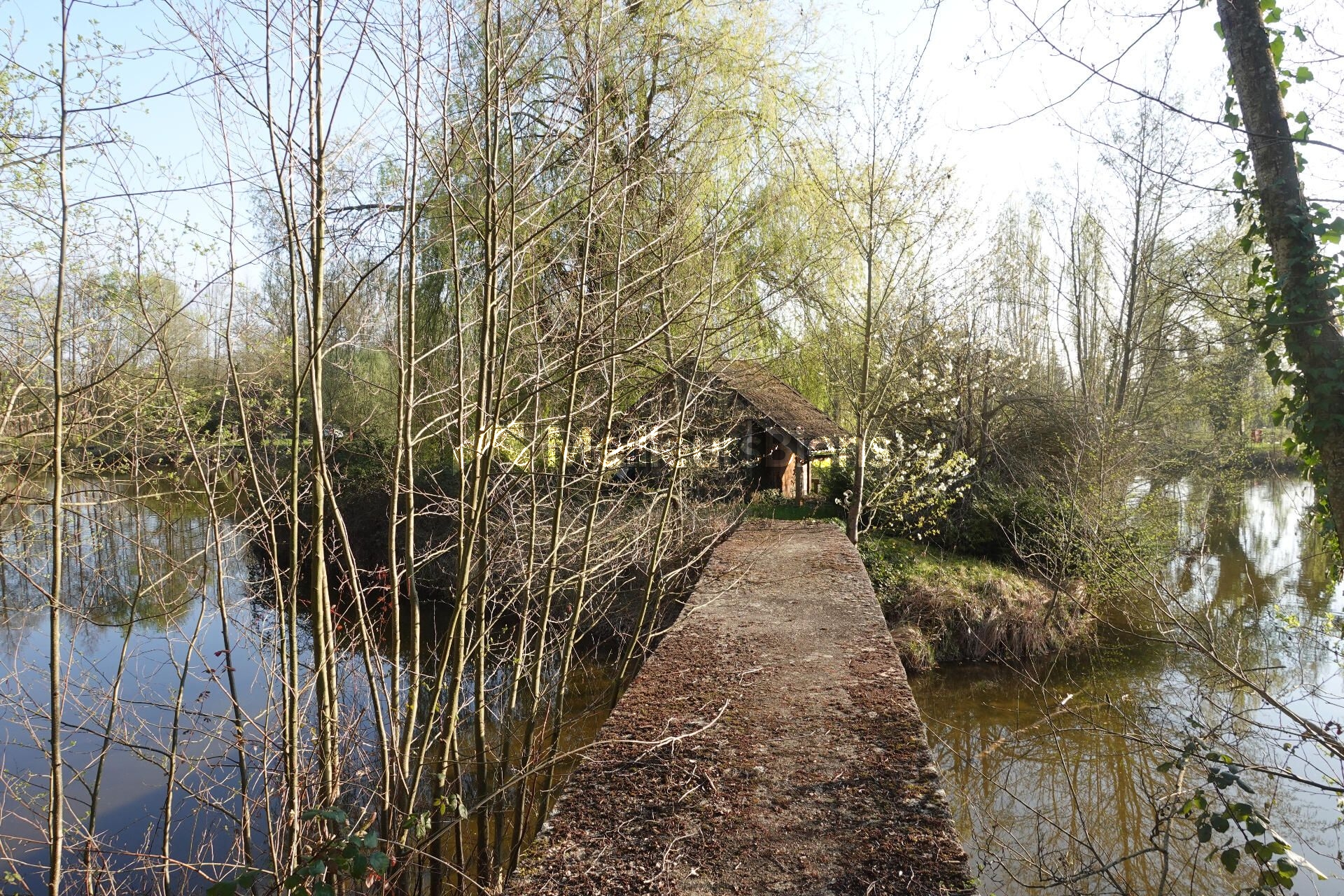 Magnifique étang sur 26 000m² de terrain