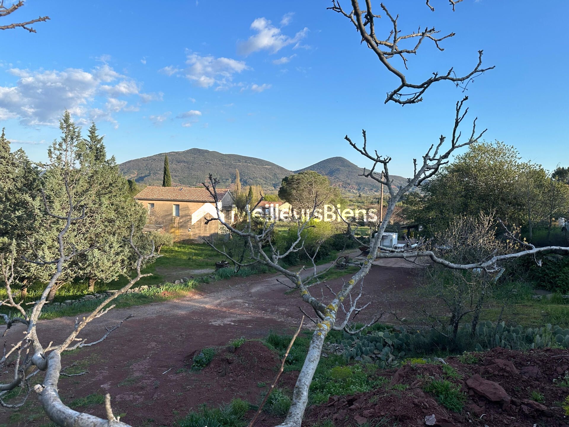 Beau Terrain à batir de 870m² à Octon