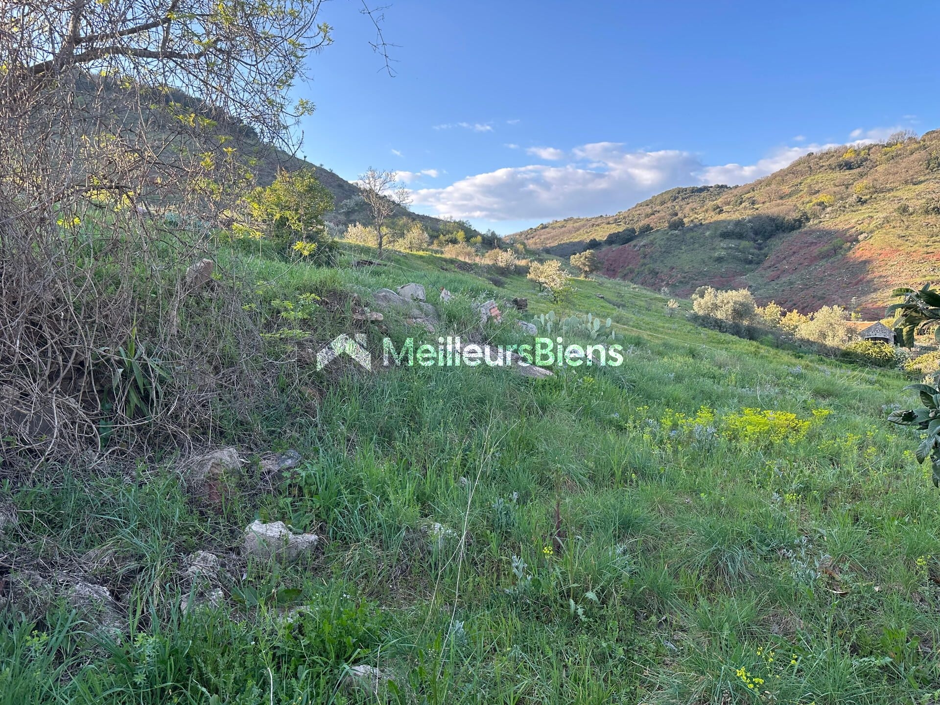 Beau Terrain à batir de 870m² à Octon