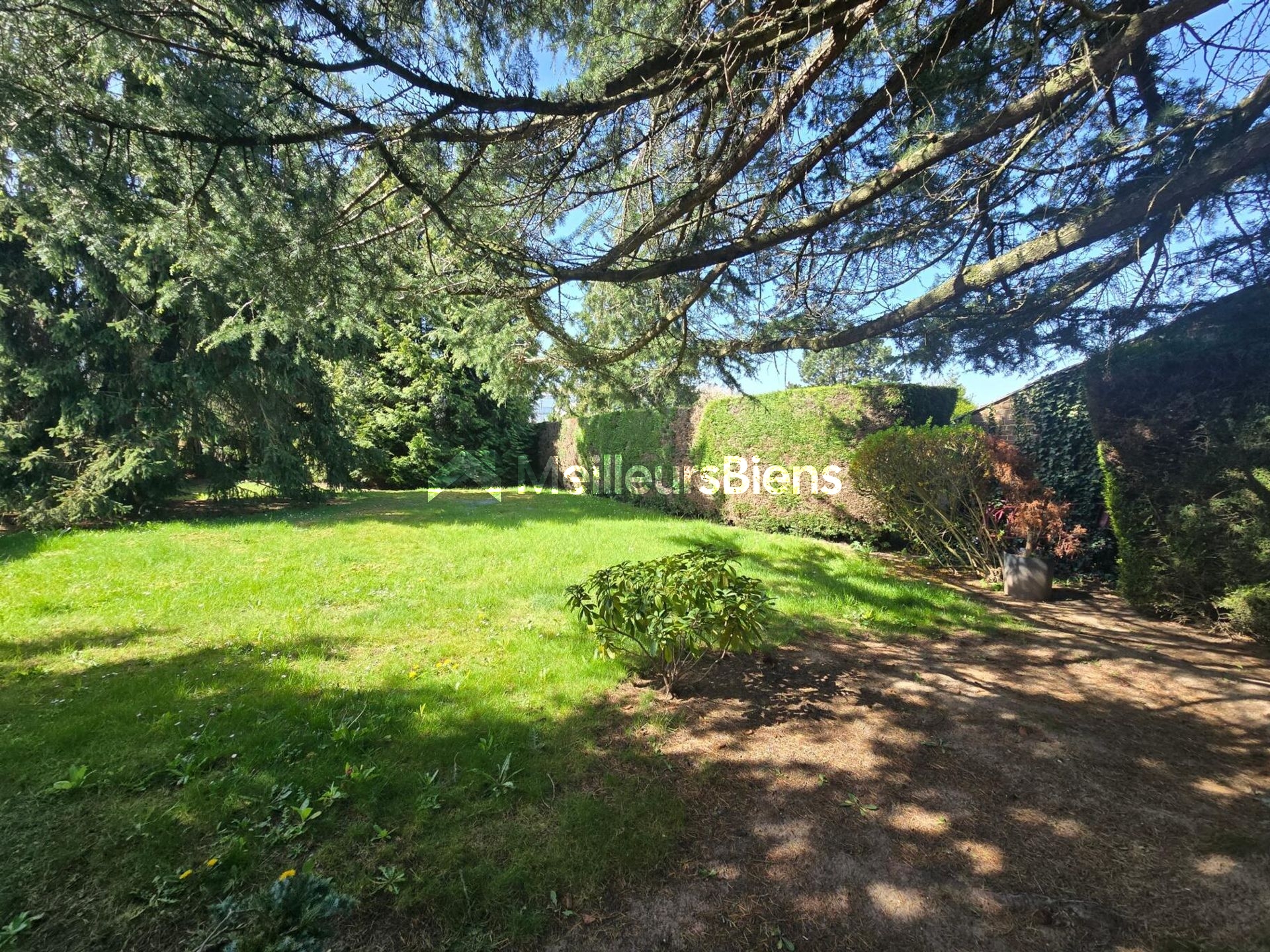 Maison de ville le quesnoy  Semi mitoyenne