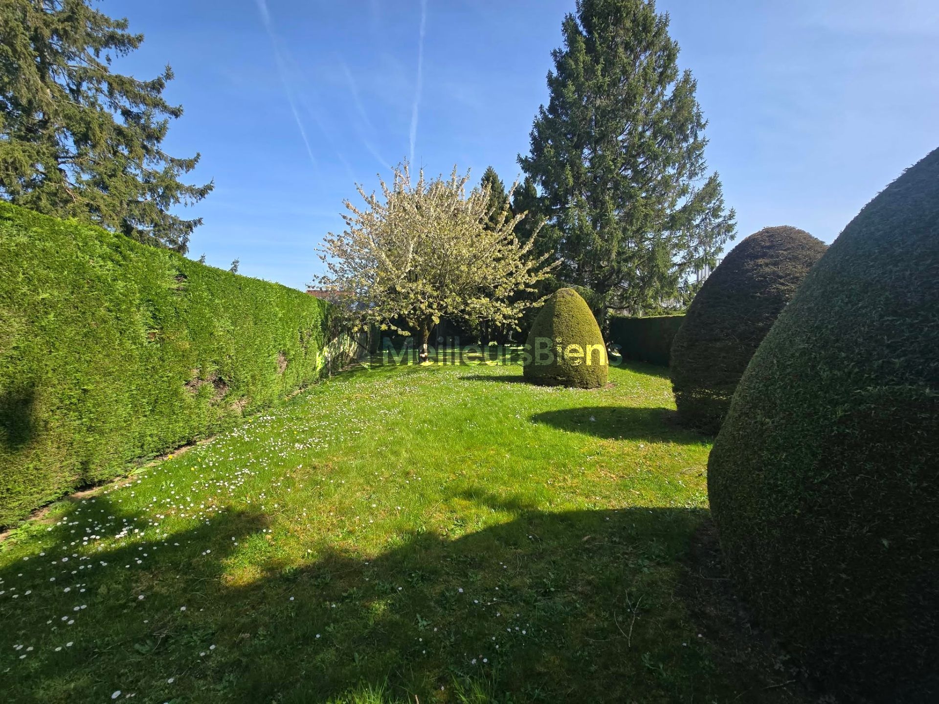 Maison de ville le quesnoy  Semi mitoyenne