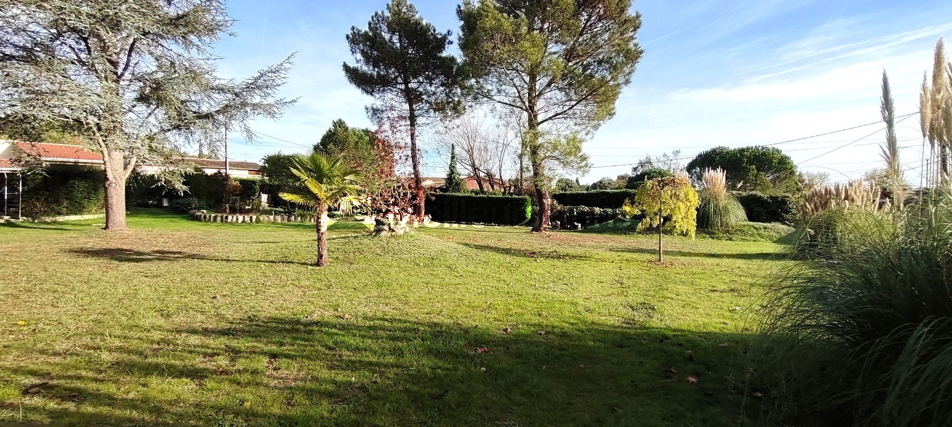 Rabastens: A 30mn de Toulouse villa T5 avec piscine sur parc de 5000m2 et T2