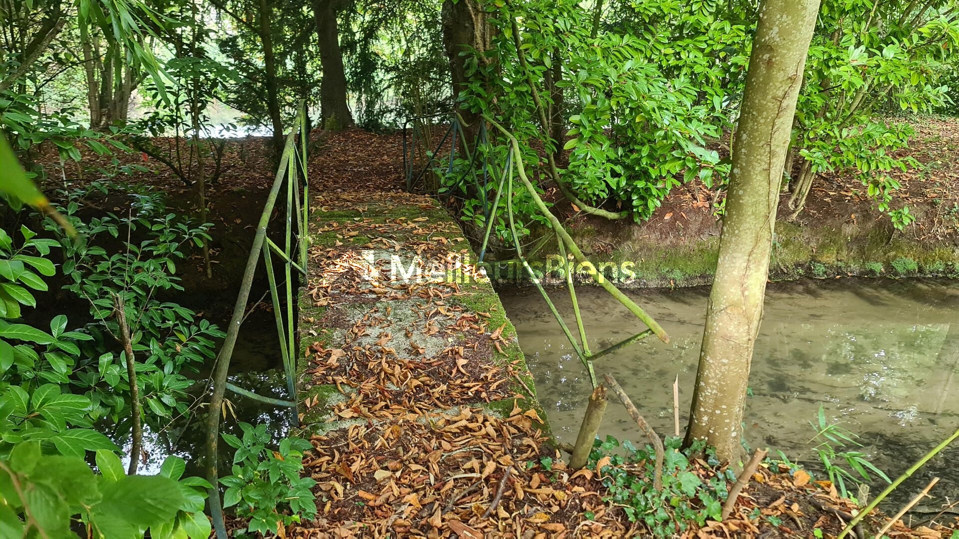 🏞️ Terrain de loisirs exceptionnel – 4,4 hectares – Étangs, bois & ruisseau 📍 Croissanville (14) – Calvados