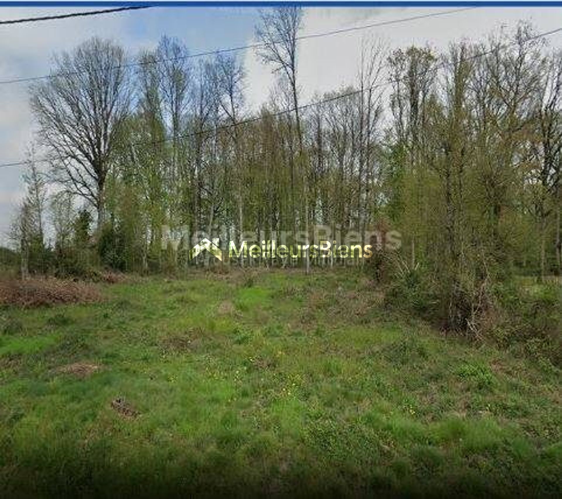 COURTENAY (45320) - DOMAINE STE ANNE - TERRAIN 2376 M² - VIABILISE ET CONSTRUCTIBLE - SEMI-BOISE -